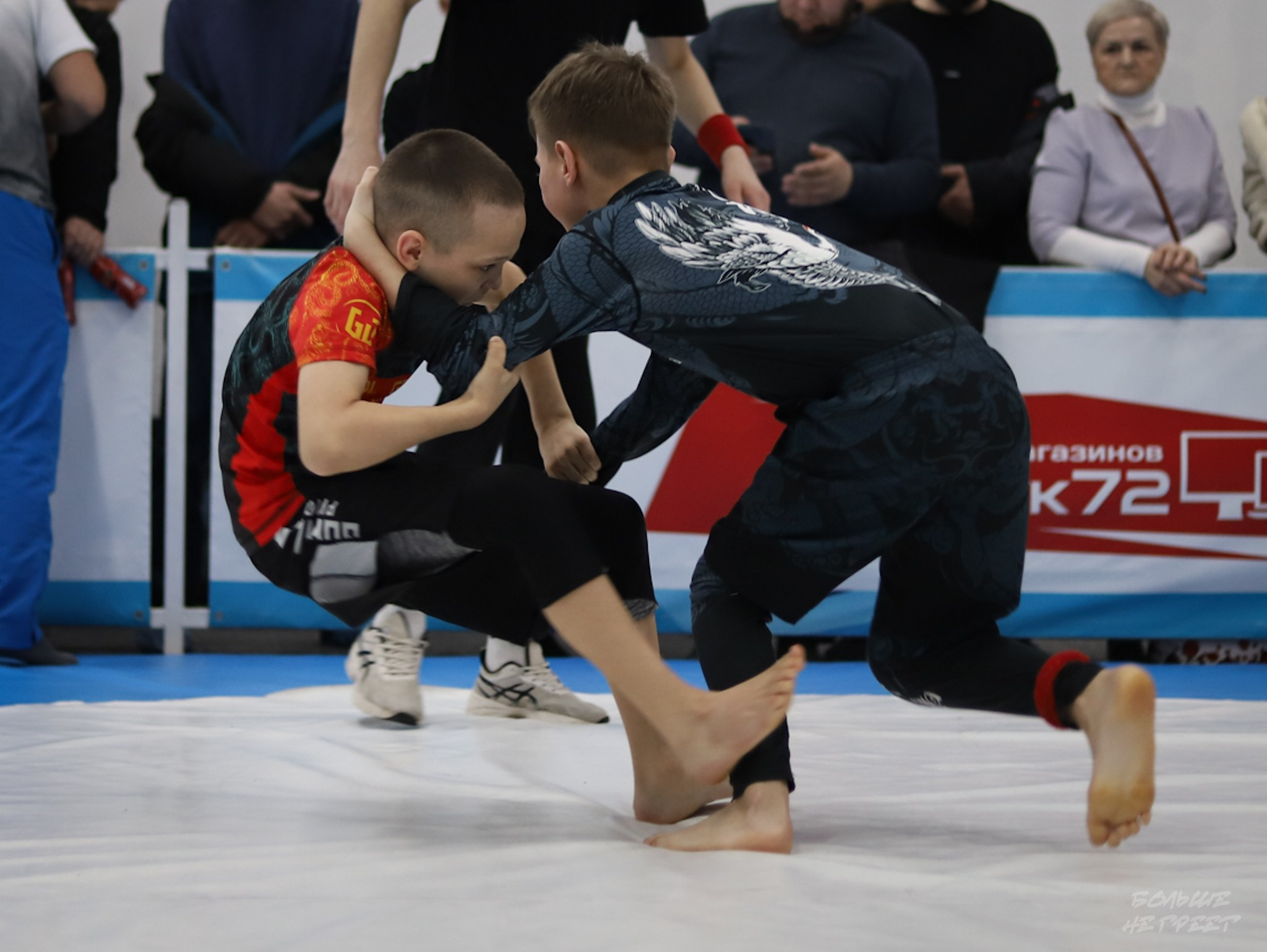 GORILLA PRIDE CUP. Больше не греет