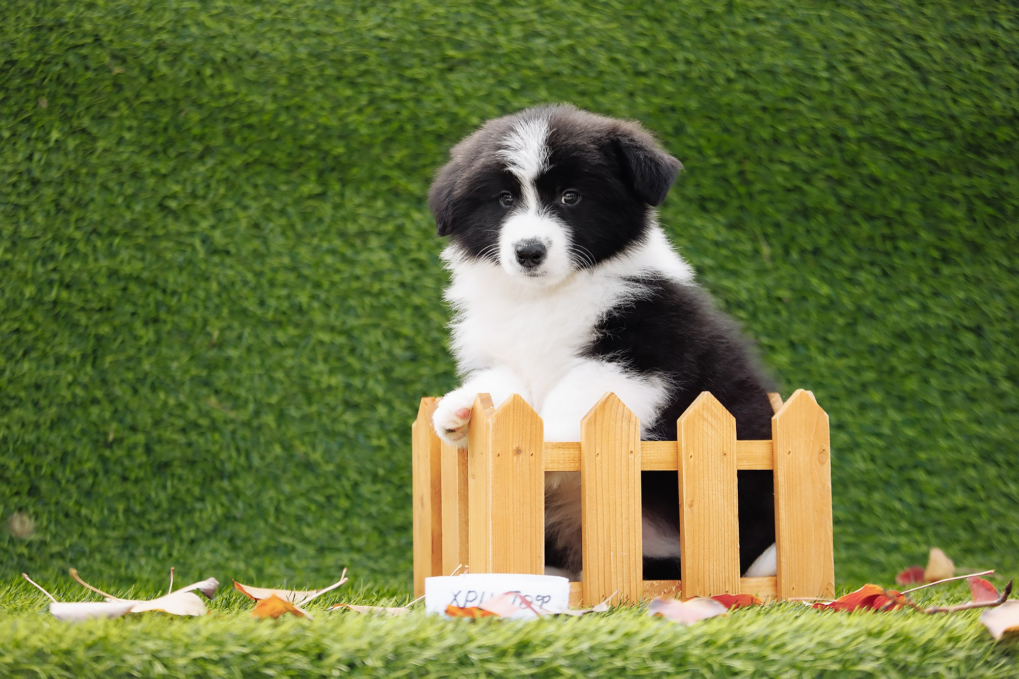 Новый лист. О нас