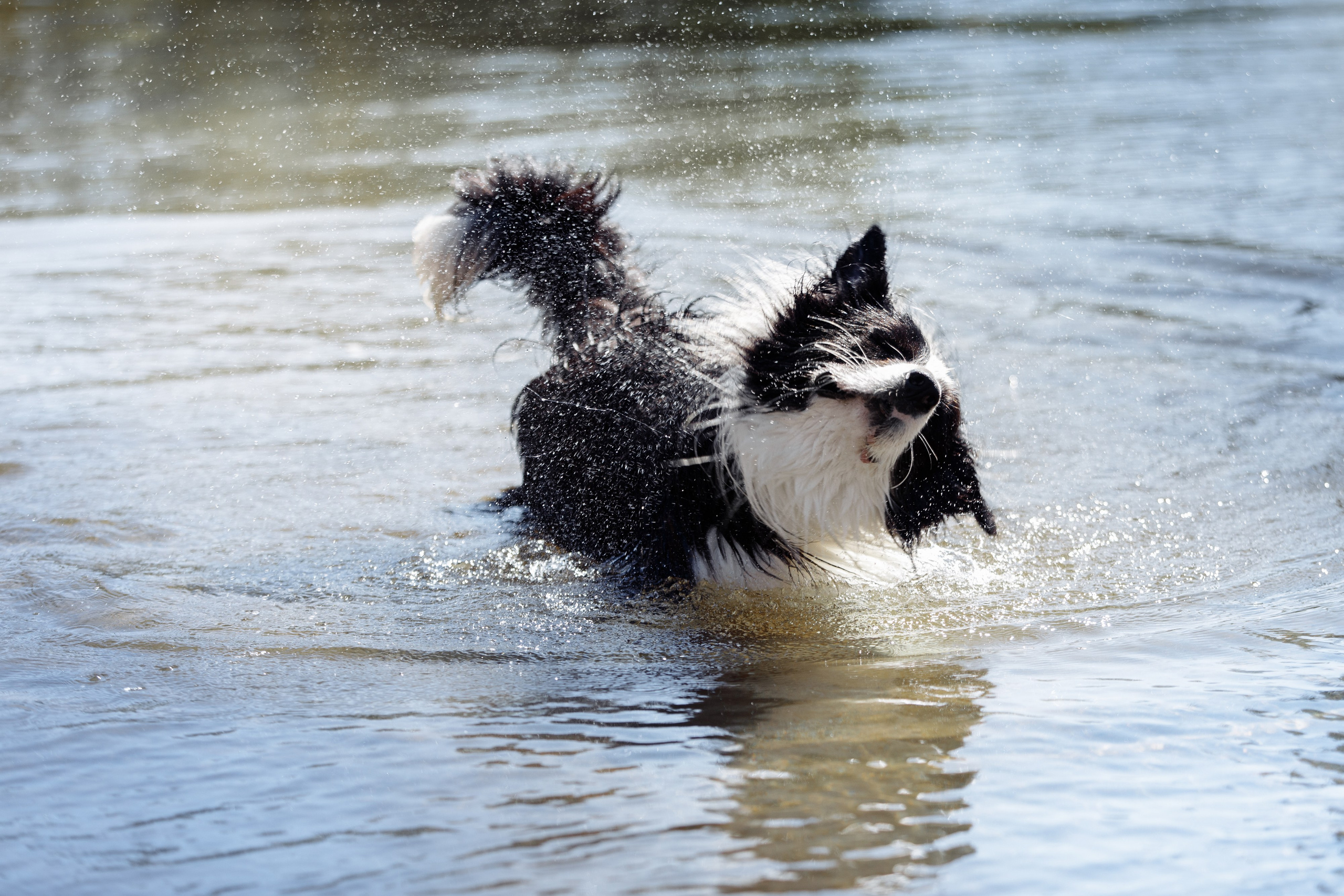 Водяные в Новотроицке. О нас
