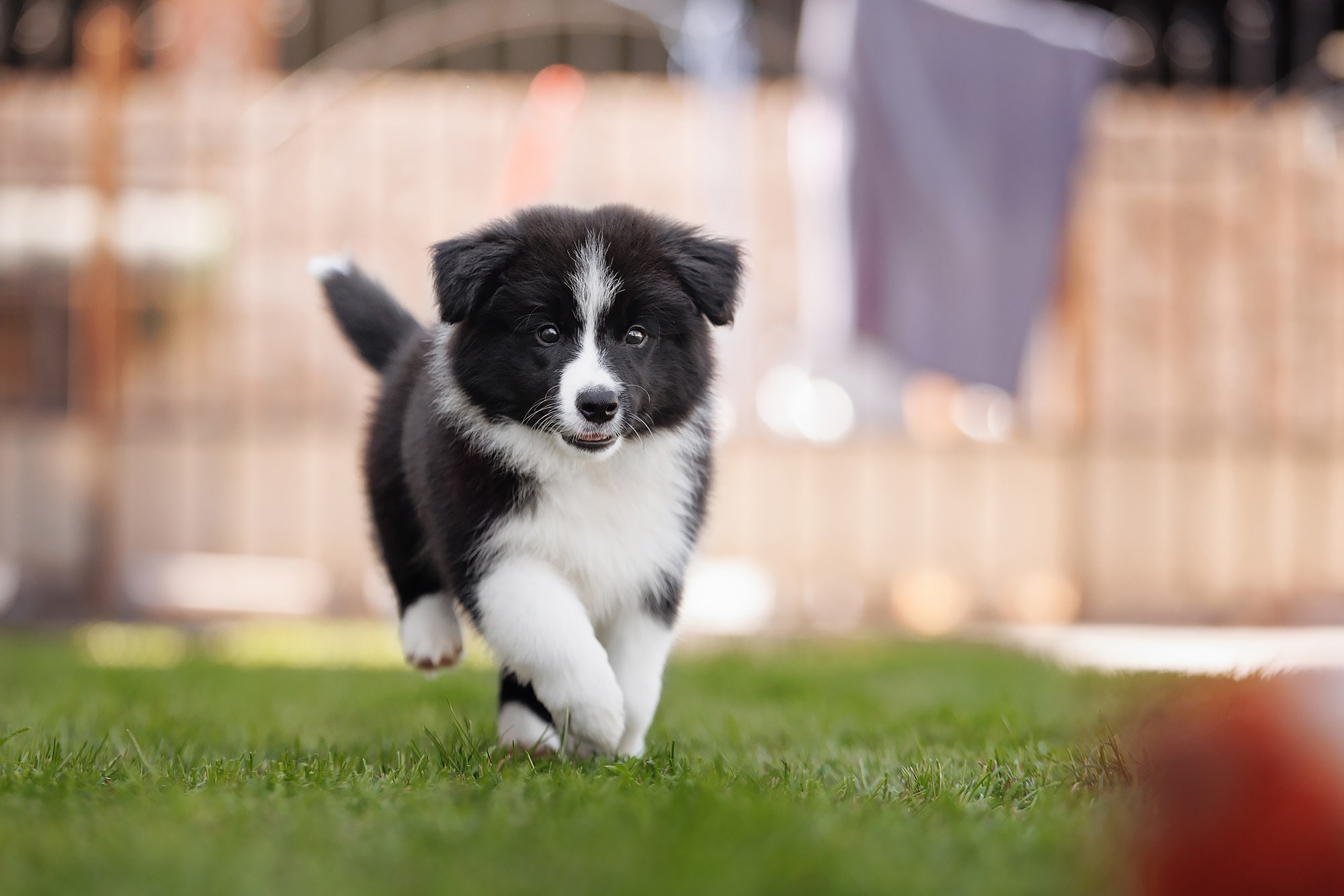 Трава у дома. О нас