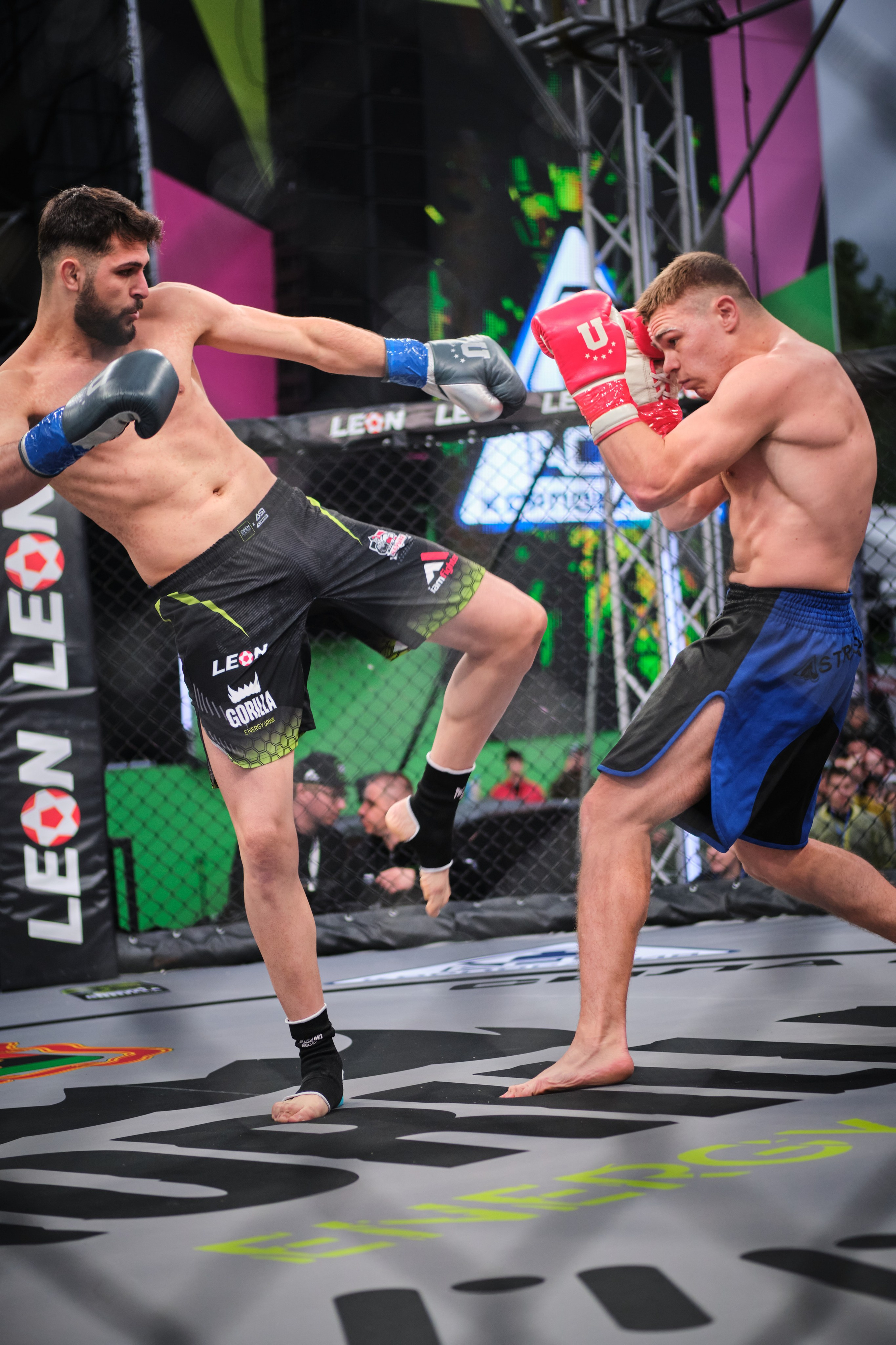 ММА на ПРО ГЕШ. Свадебный и семейный фотограф в Новокузнецке Иван Иванов