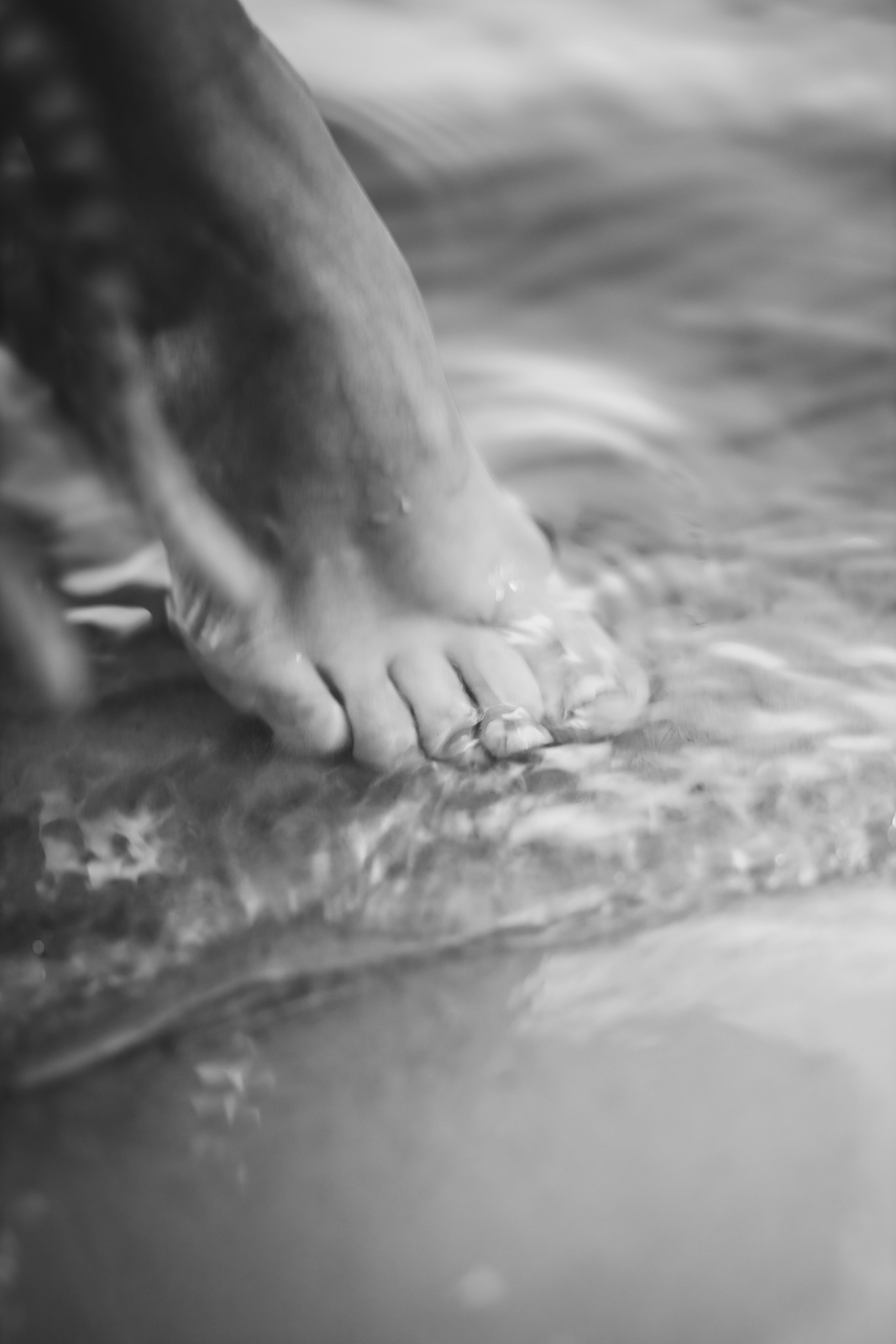 Lupin Quarry 2024. Фотограф Наталья Шпиллер Санкт-Петербург