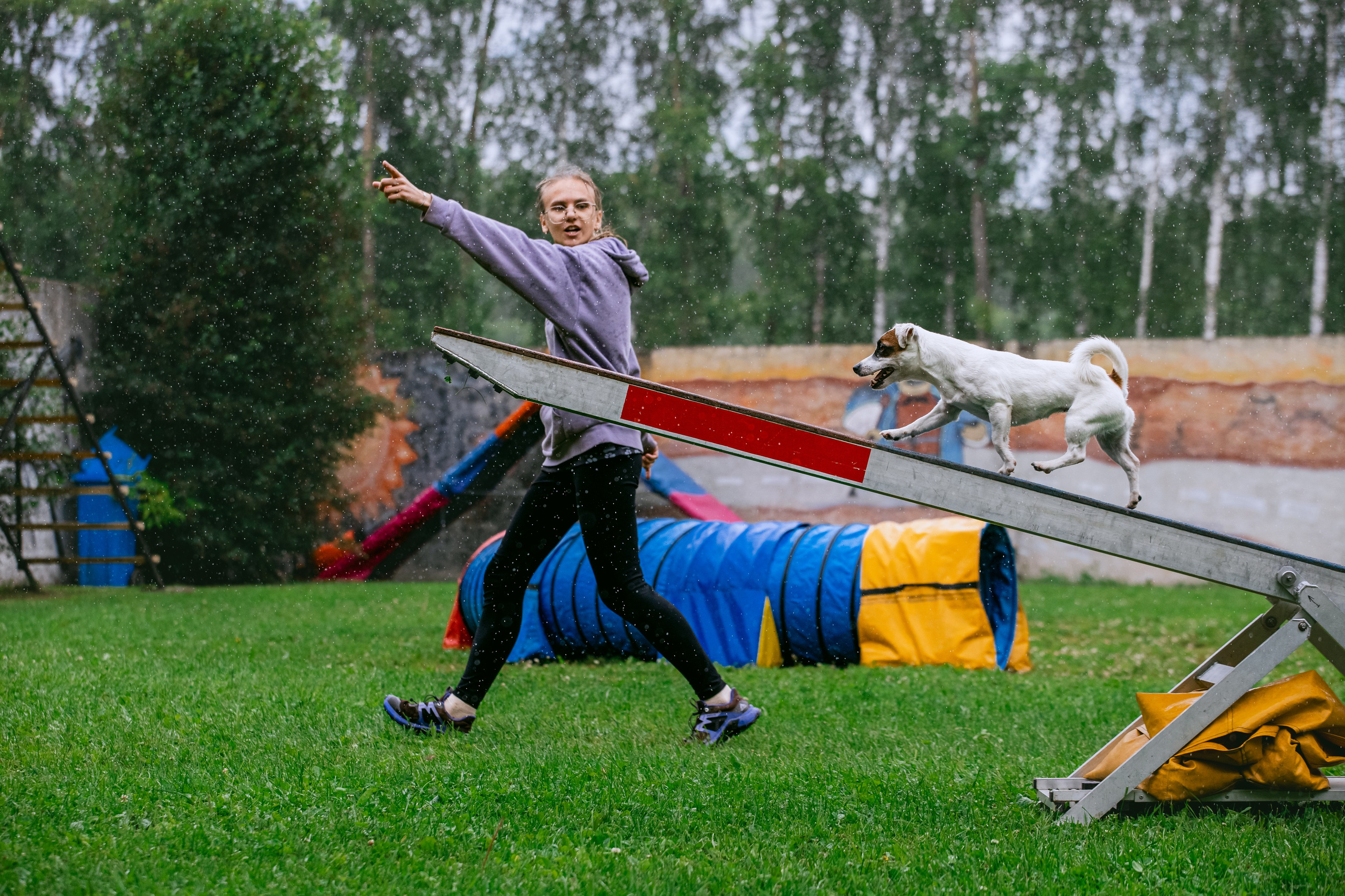 Соревнования по аджилити Долгопрудный 30.06.2025. Фотограф-анималист Татьяна Степанова