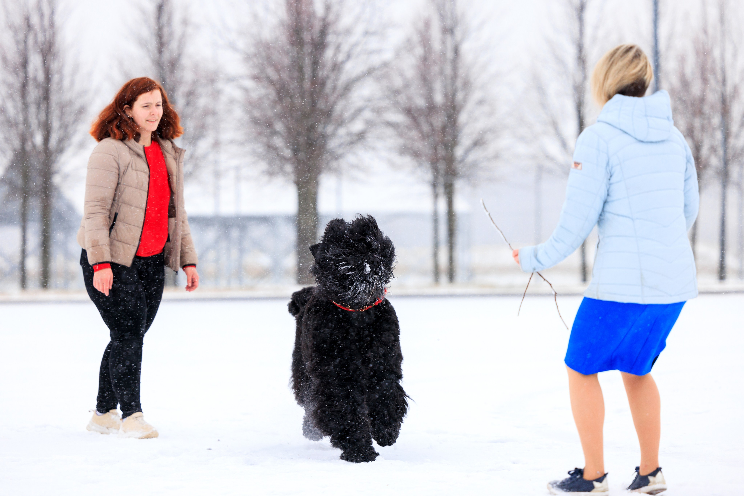 Санкт-Петербург 14.12.2024 ОС. Фотограф-анималист Юлия Германика
