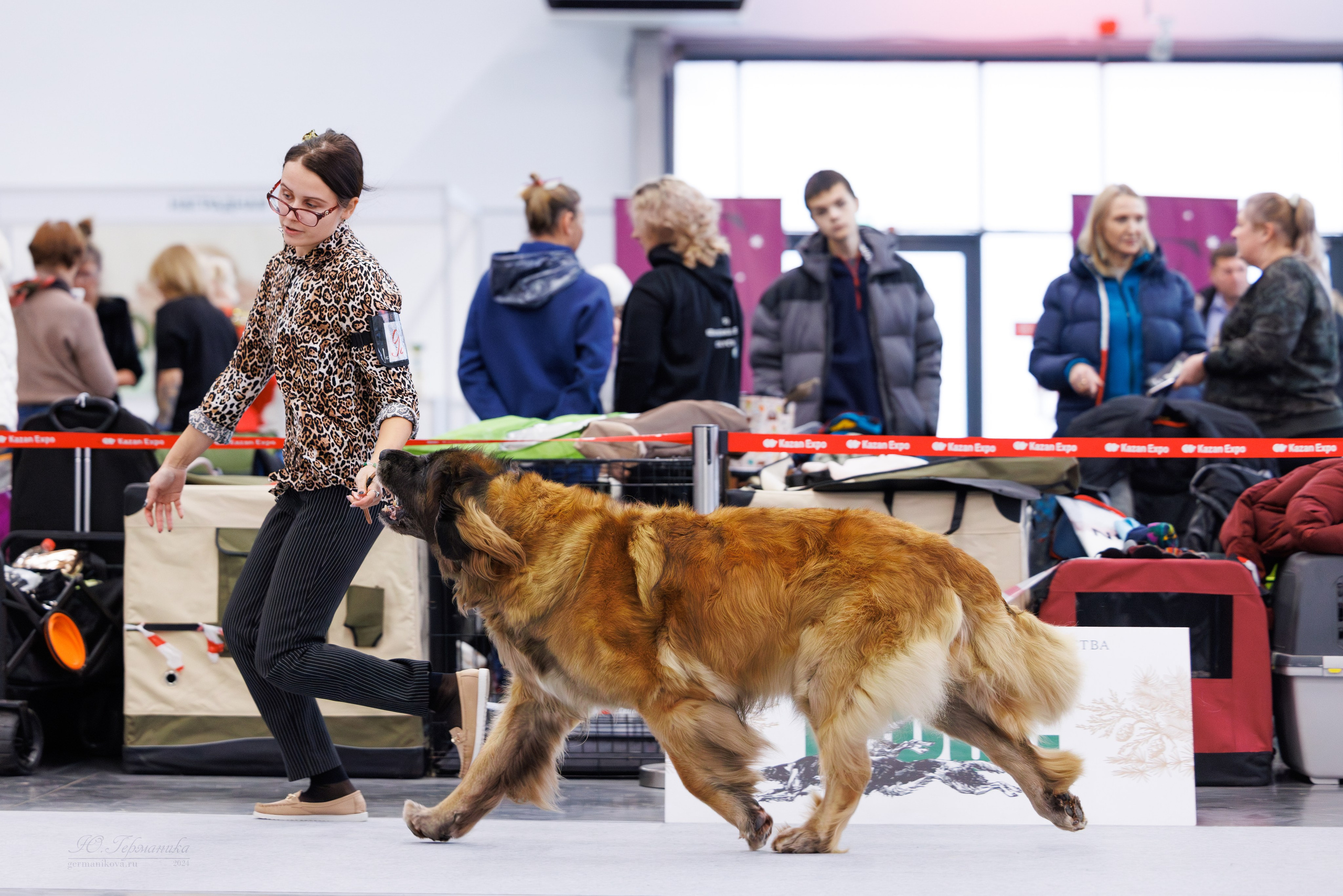 Казань Зилант 30-01.12 2024. Фотограф-анималист Юлия Германика