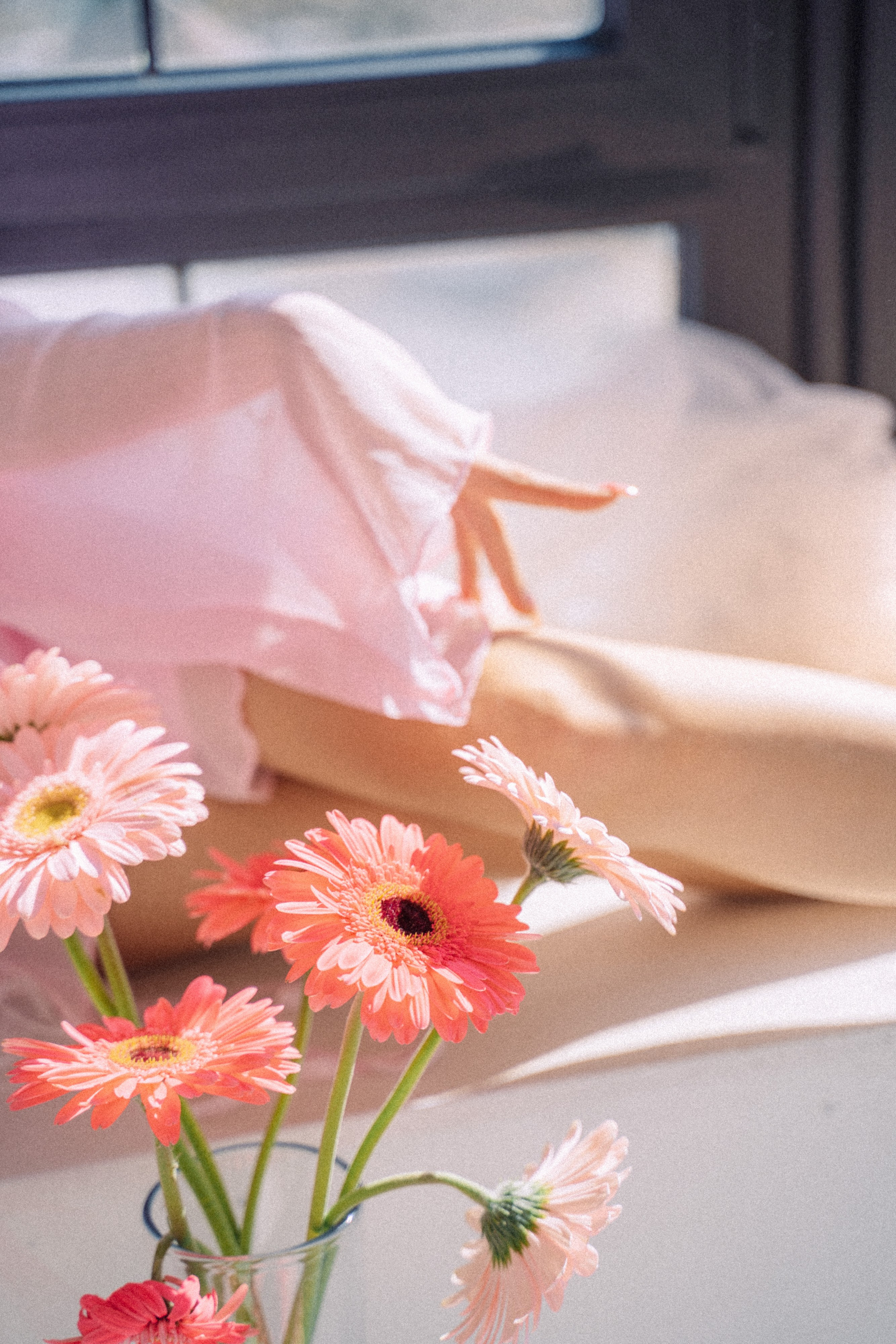 Елена. Семейный фотограф Новочеркасск