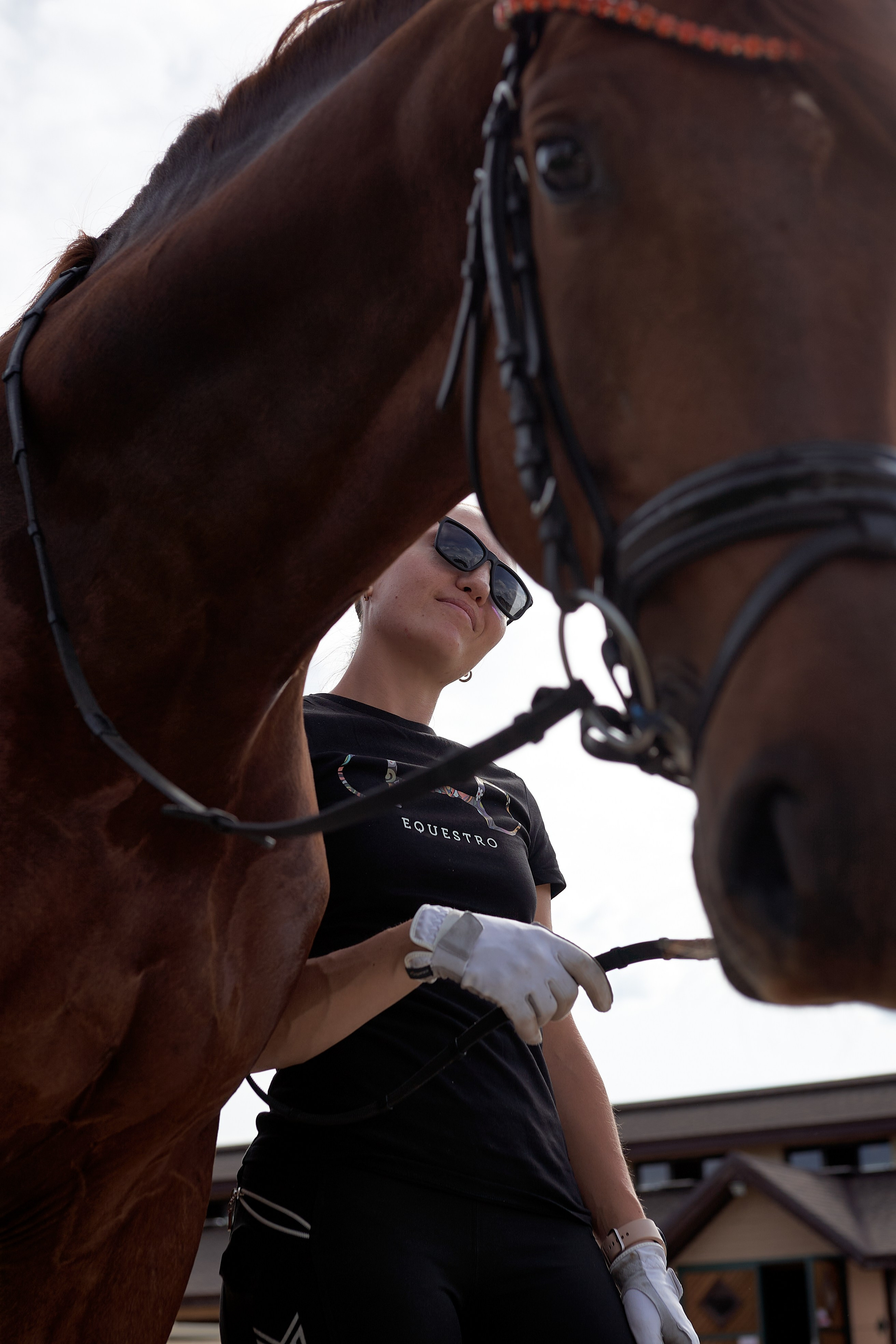 Карина и Нью Романс. Фотосессии с лошадьми в Москве, Новосибирске