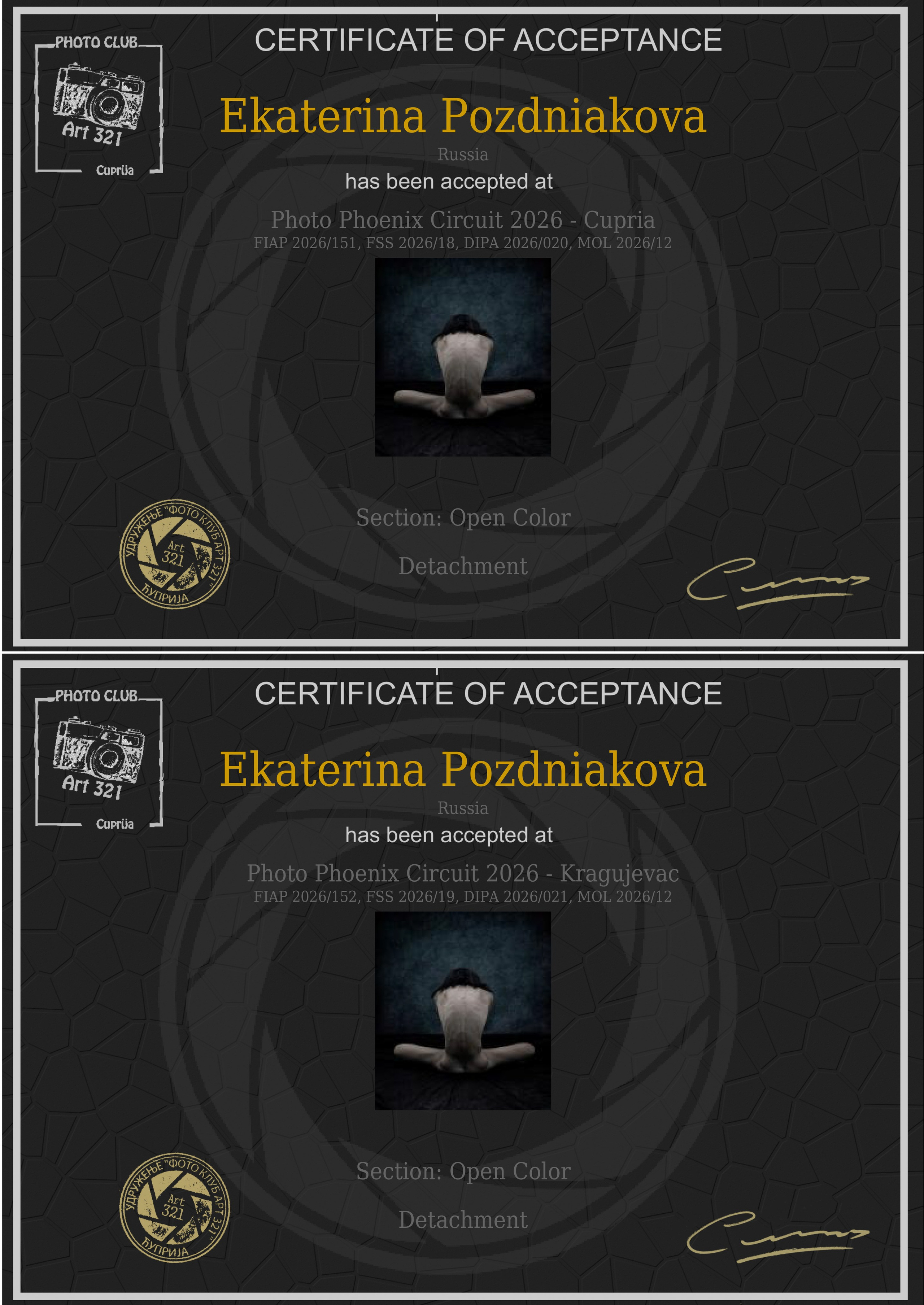 Photo Phoenix Circuit 2026 FIAP. Art Рhotographer Russia/Moscow