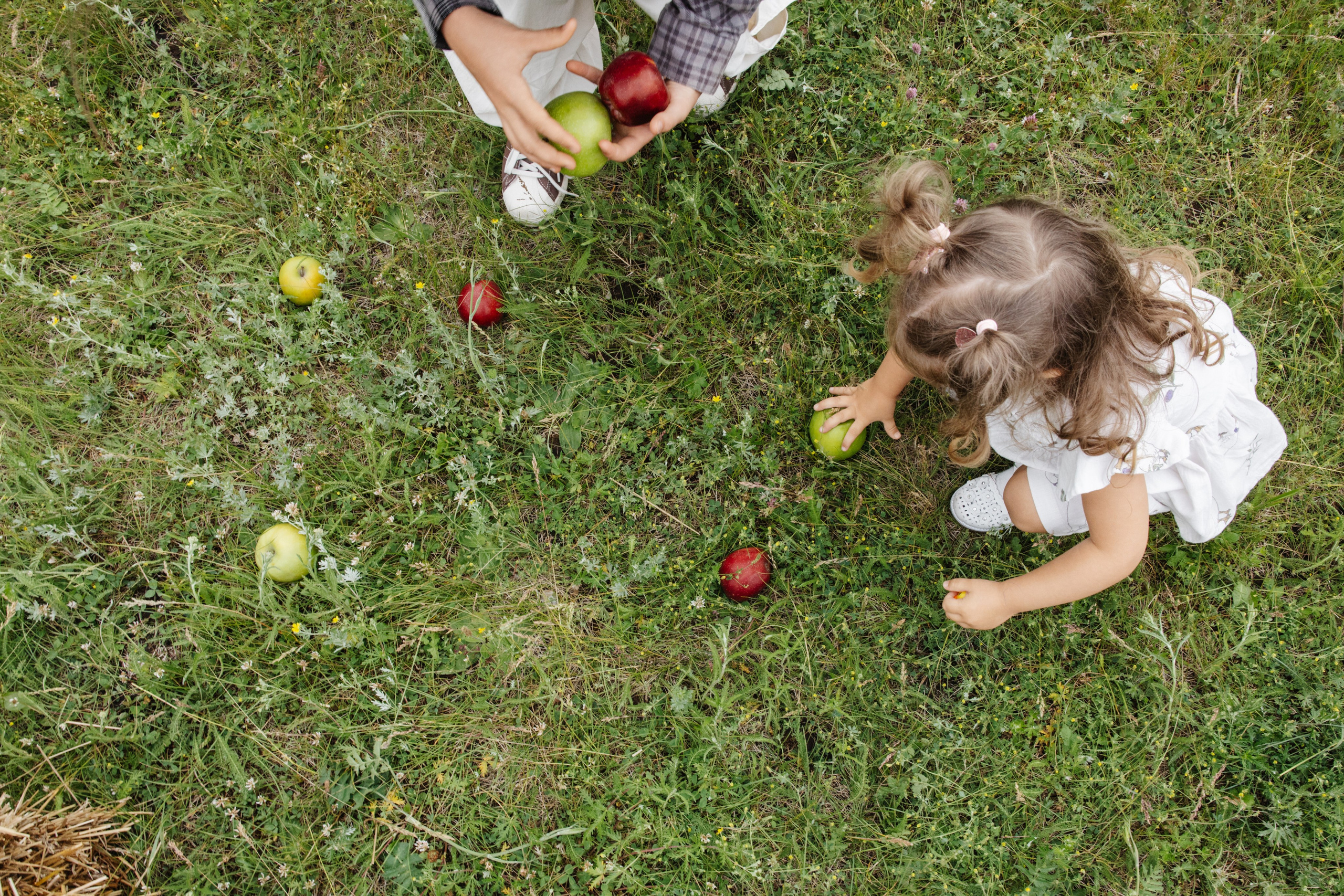ГЕНДЕР ПАТИ. Фотограф в Красноярске