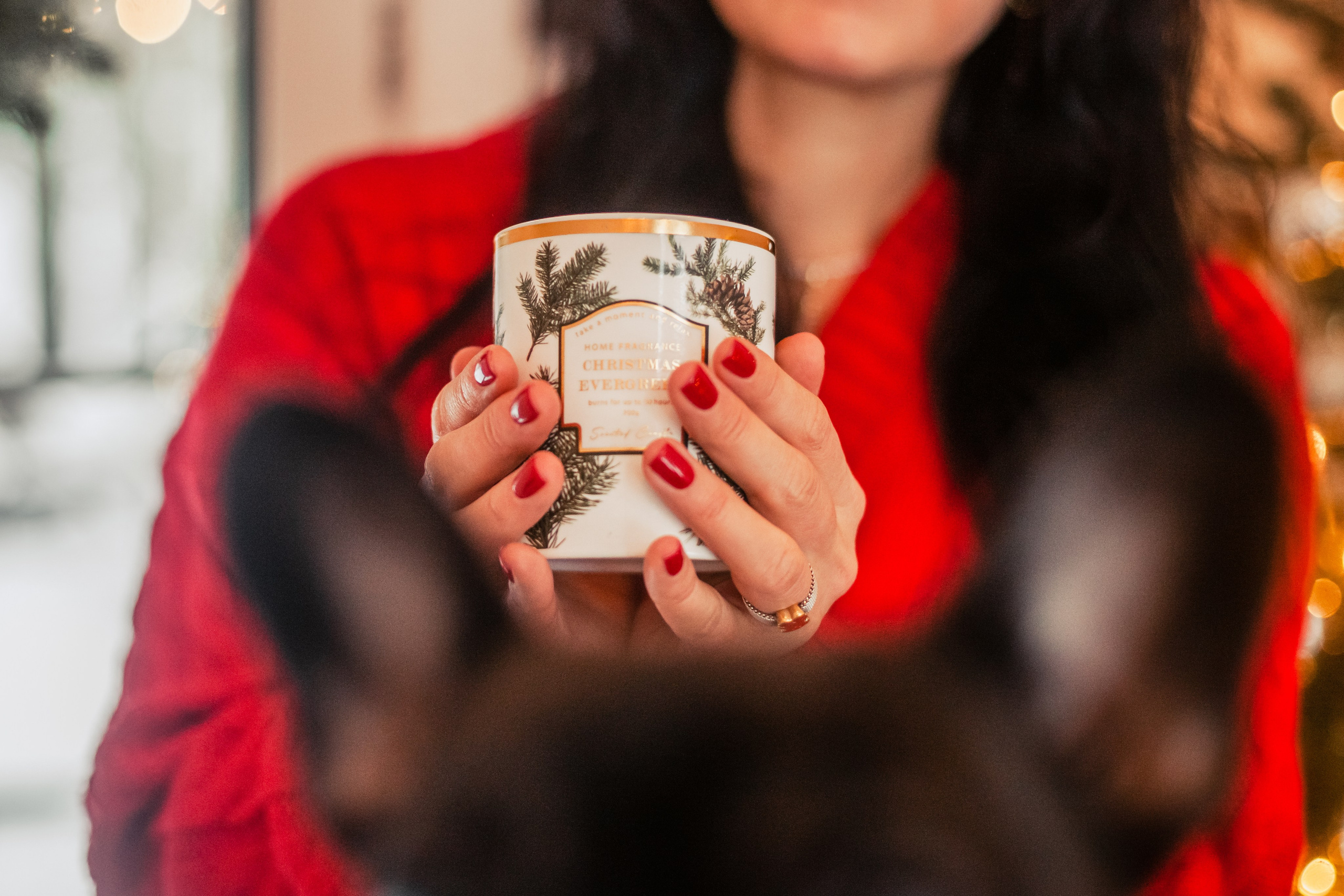 Кантри Хаус. Фотограф-анималист Татьяна Степанова