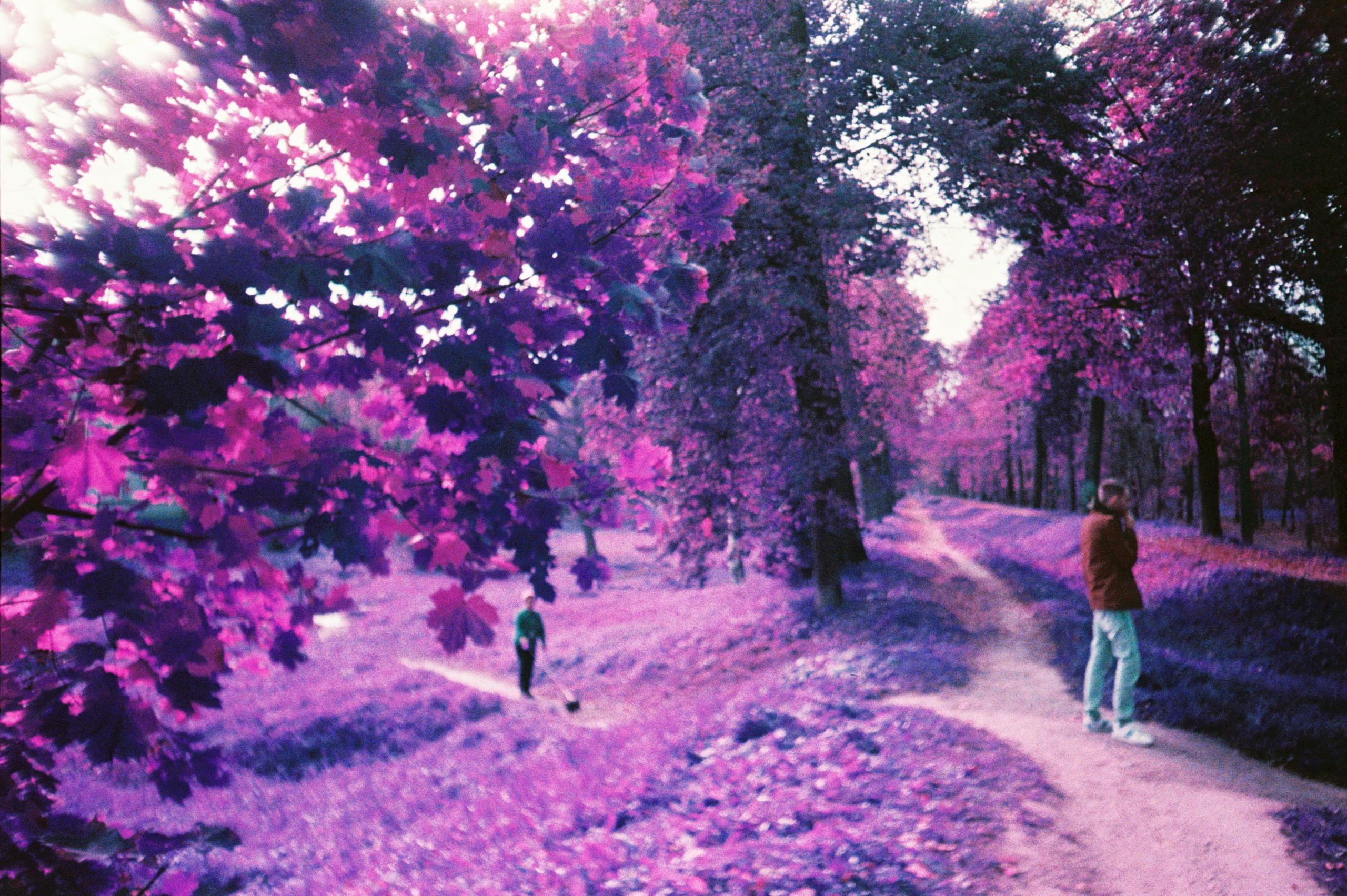 FILM 35mmm. Photographer Vasilisa Gordeeva