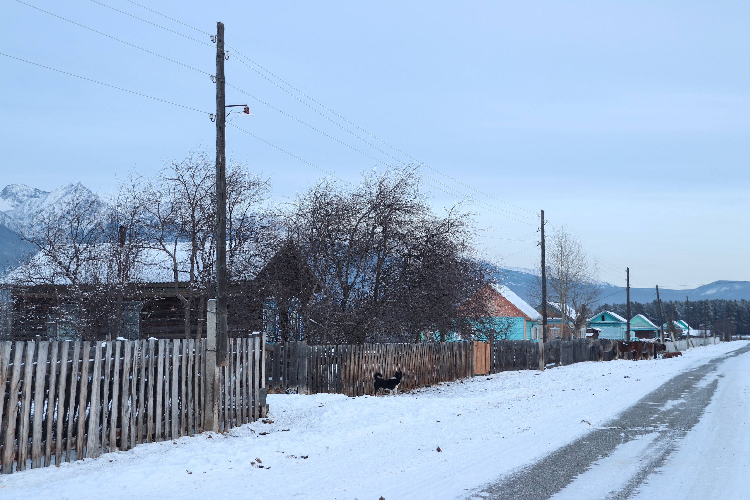 Аршан. Январь 2024. Путешественник-фотограф из Санкт-Петербурга Татьяна Свистулина