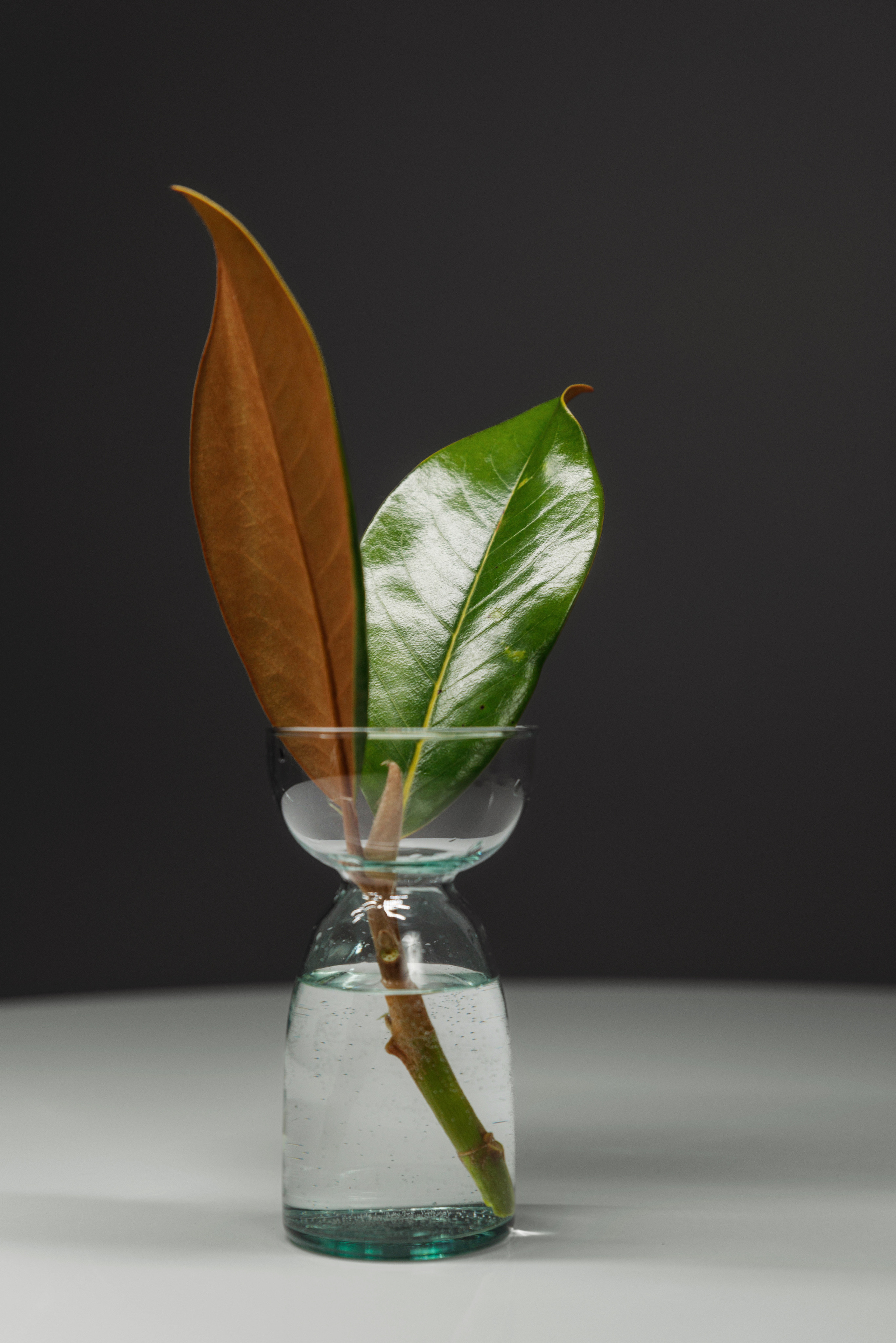 Контент съемка для MFG. Фотограф Балаев Михаил