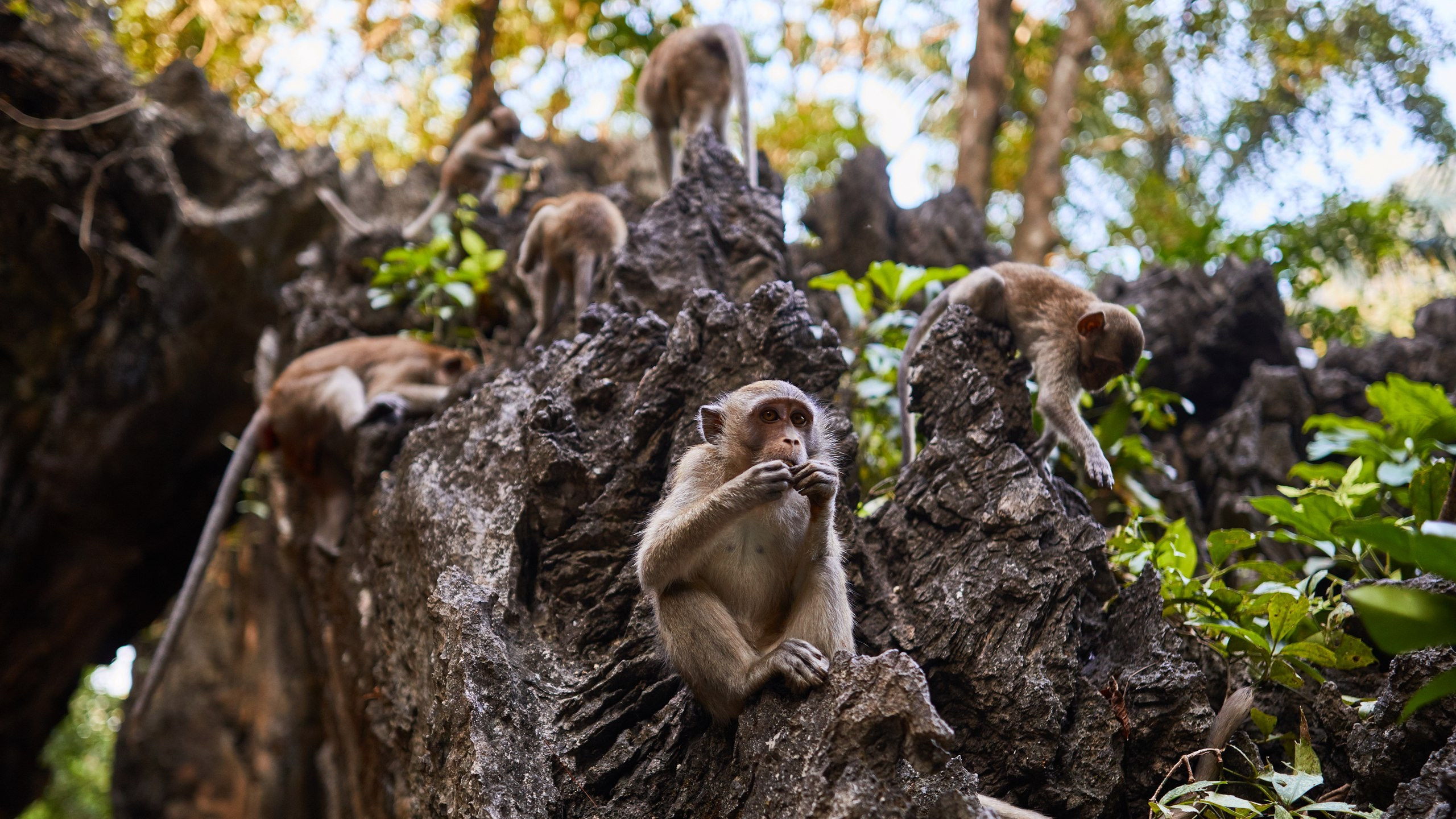 Travel портфолио. Репортажный и детский фотограф в Москве Илья Еренбург