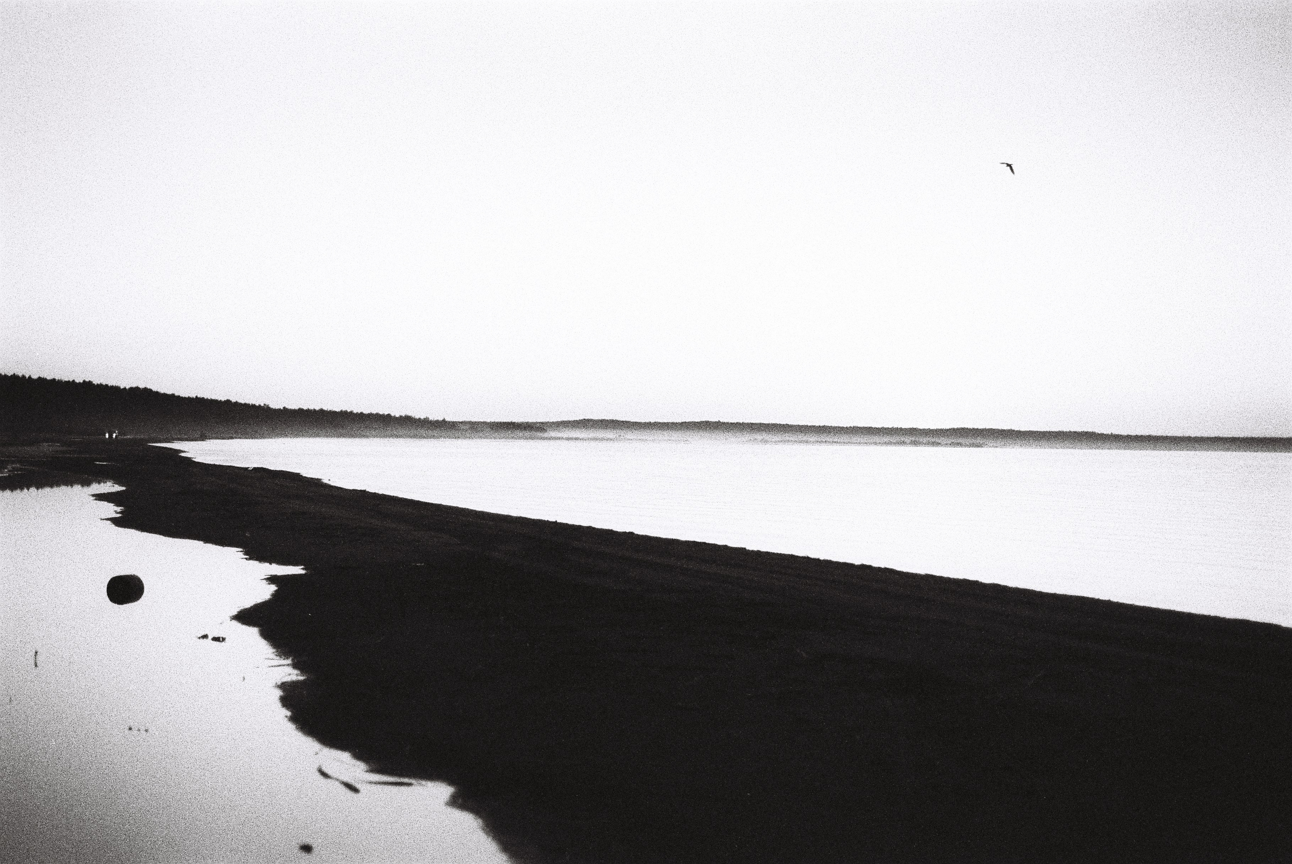 Film. Ruslan UI Dev Page