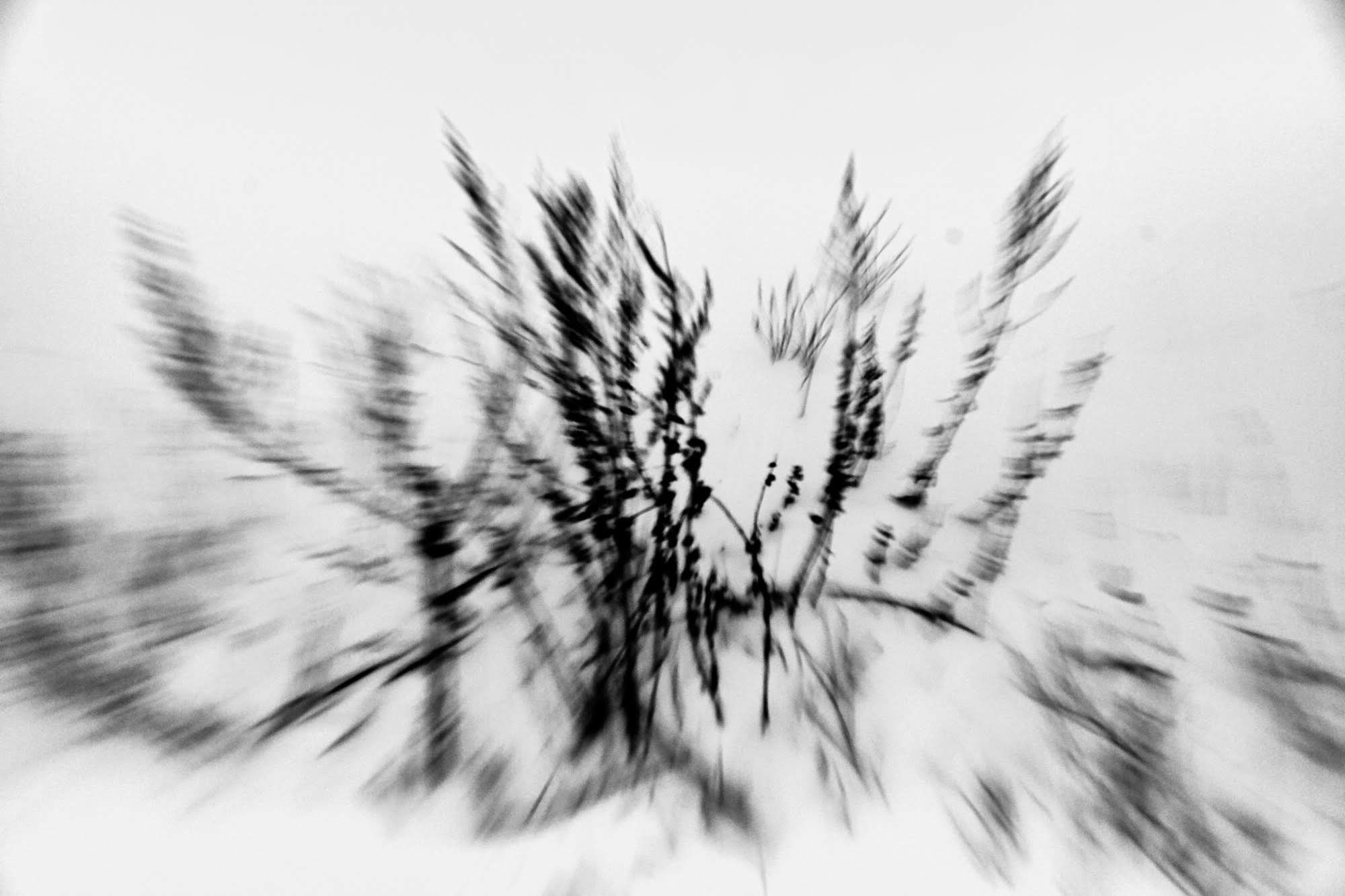 Портрет (альбом). Катерина Малама арт-фотограф