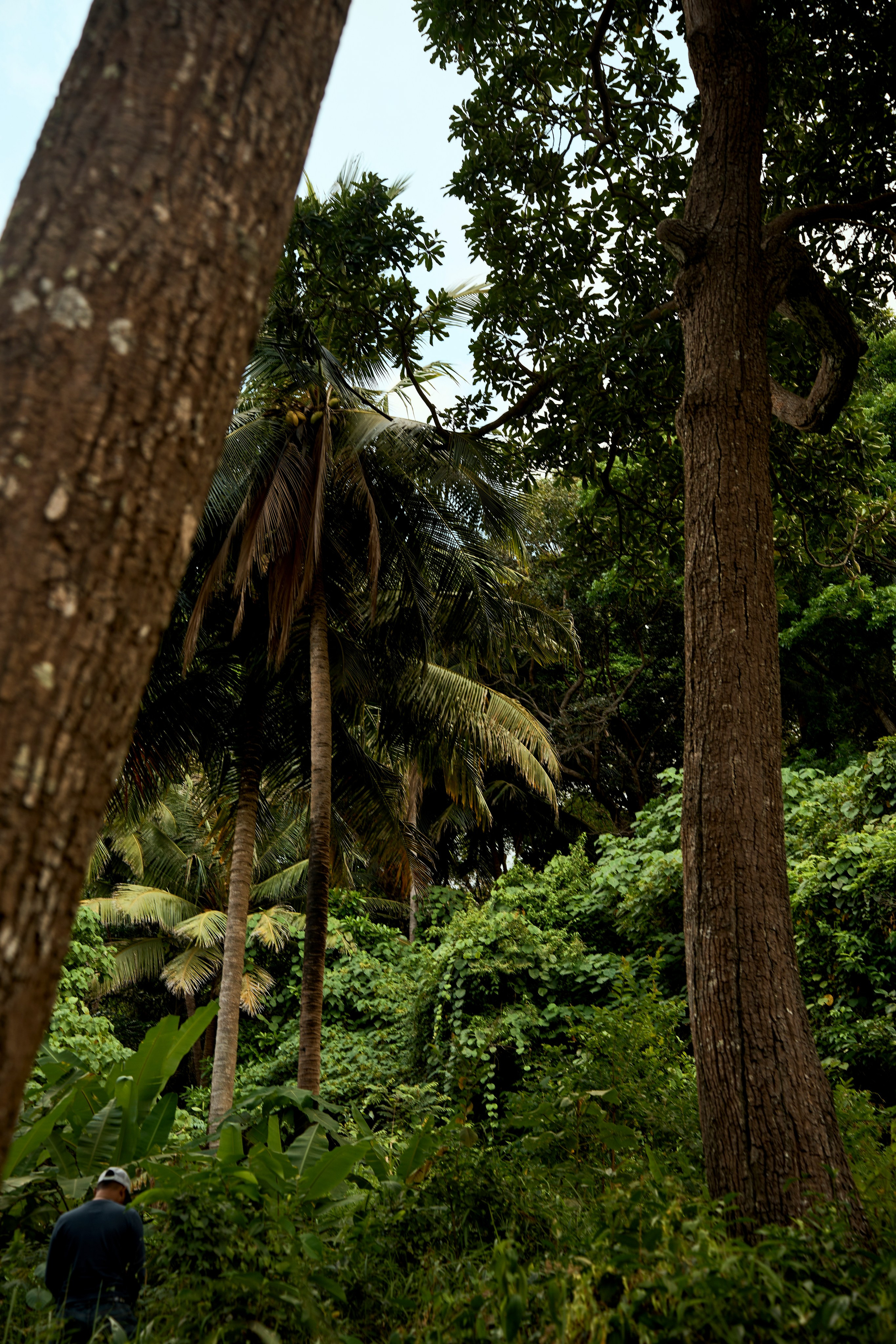 ТАИЛАНД. Студийный фотограф в Екатеринбурге Бшари Заана