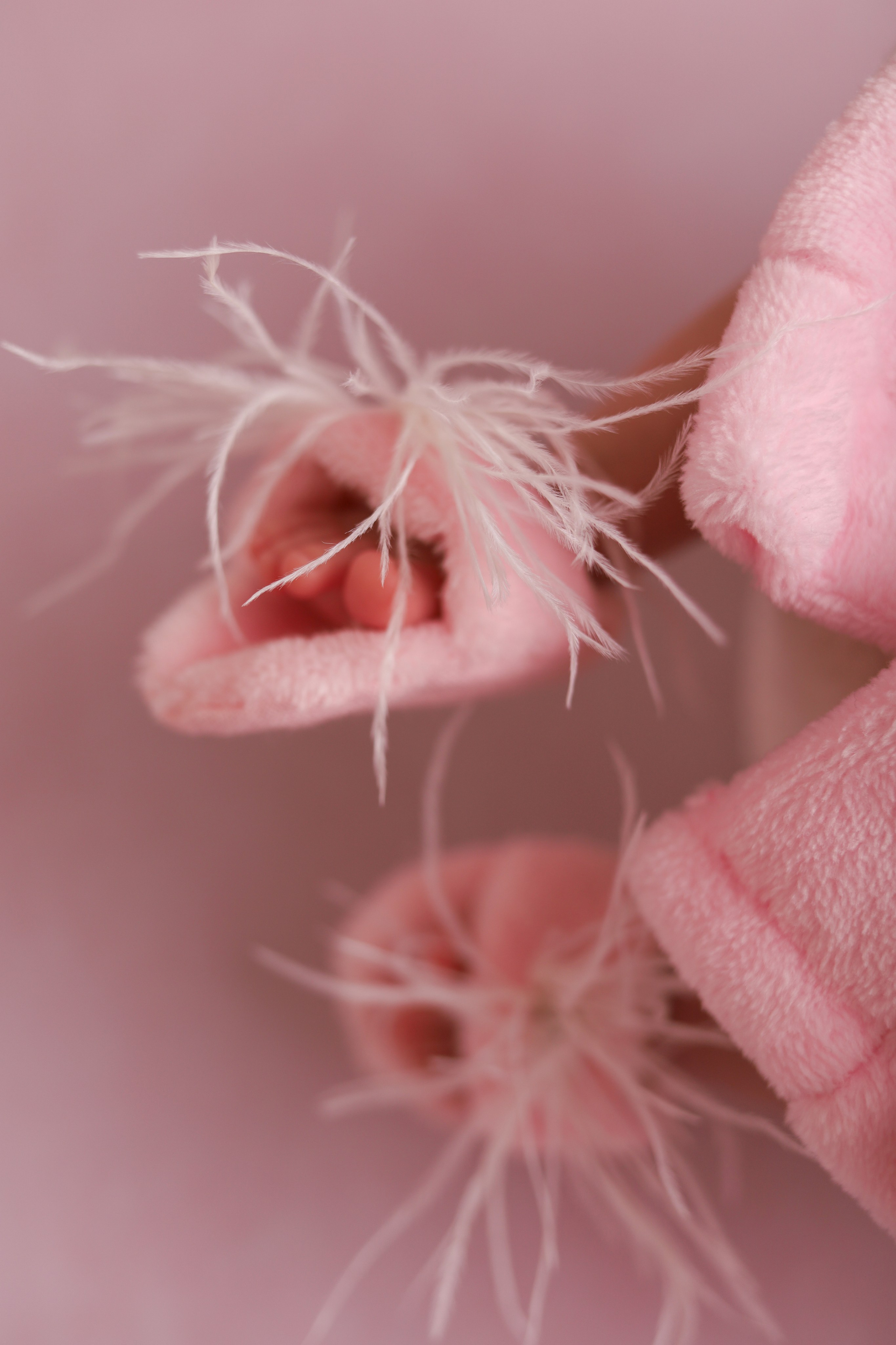 Близняшки. Фотограф новорожденных в Москве и Московской области Наталья Збиглей