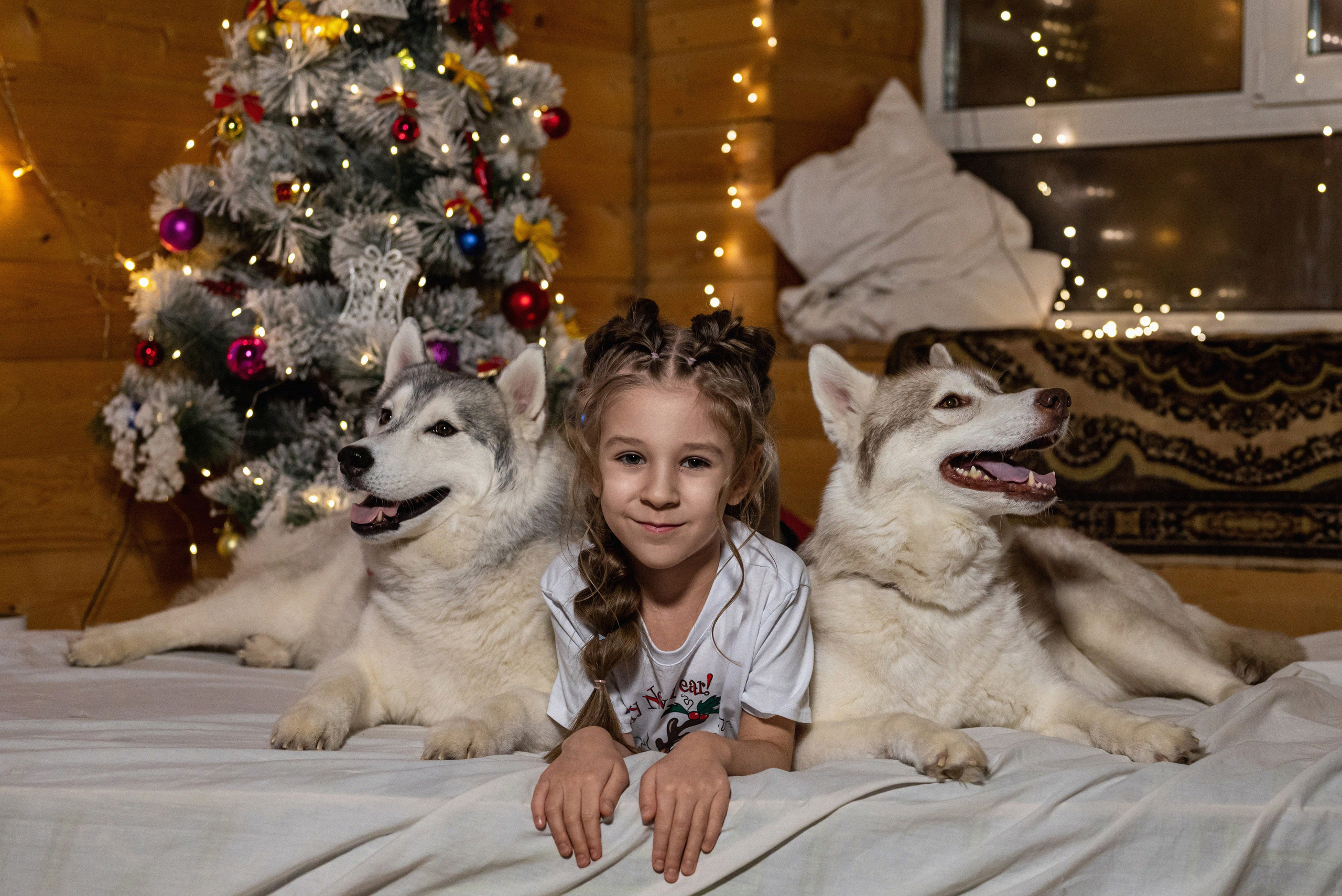 Фотопроект с хаски 2024 г. Фотограф в городе Салават