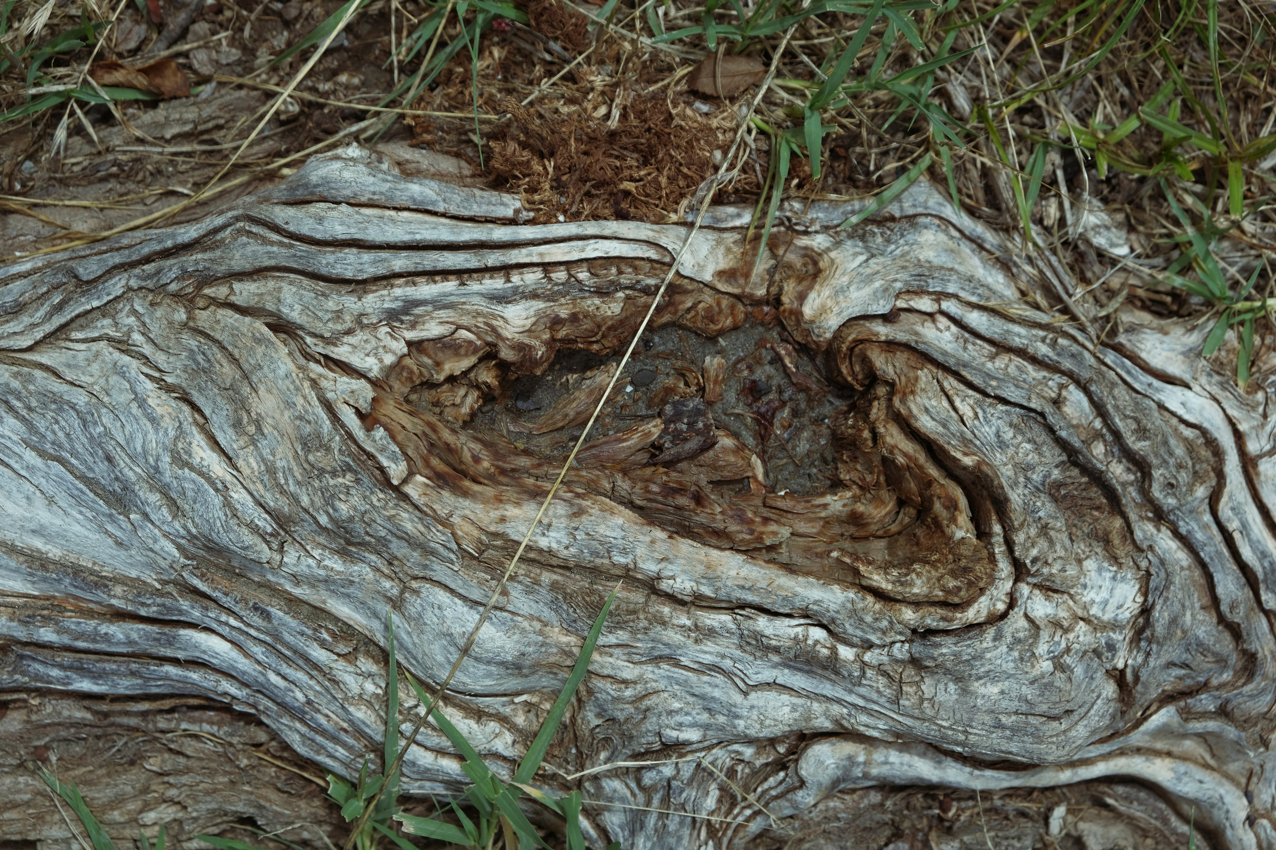 Грузия. Фотограф Настя Лев