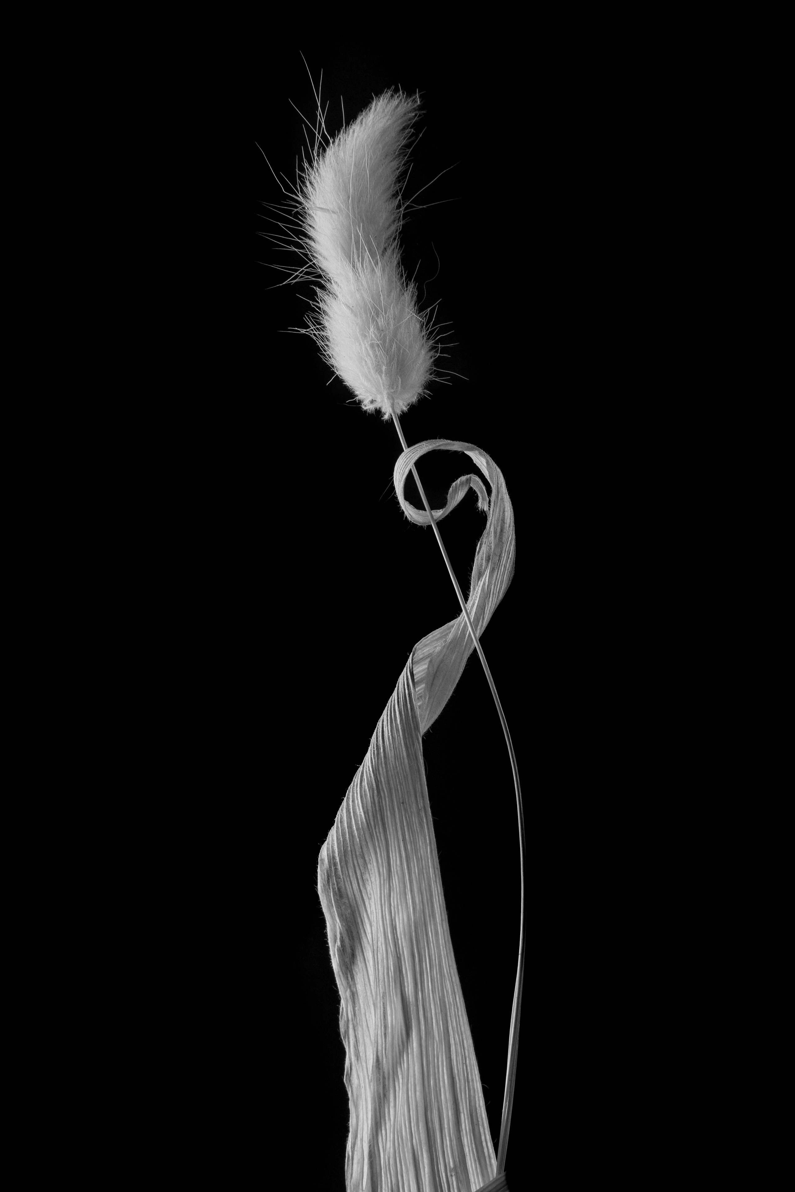 Цветы тревоги. Ксюша Черотченко — фотограф из Санкт-Петербурга