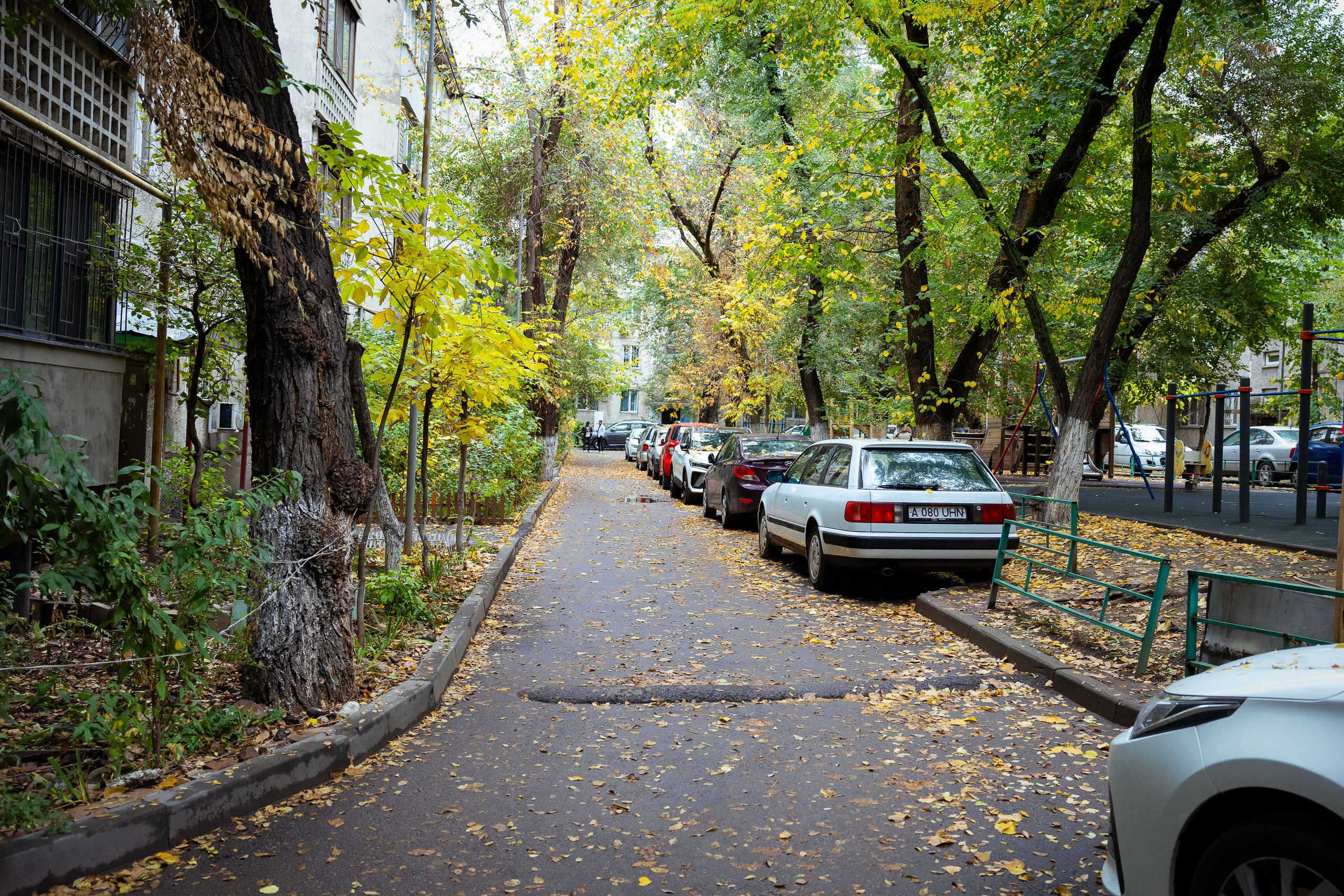Казахстан (осень 2024). Фотограф Виноградов Константин