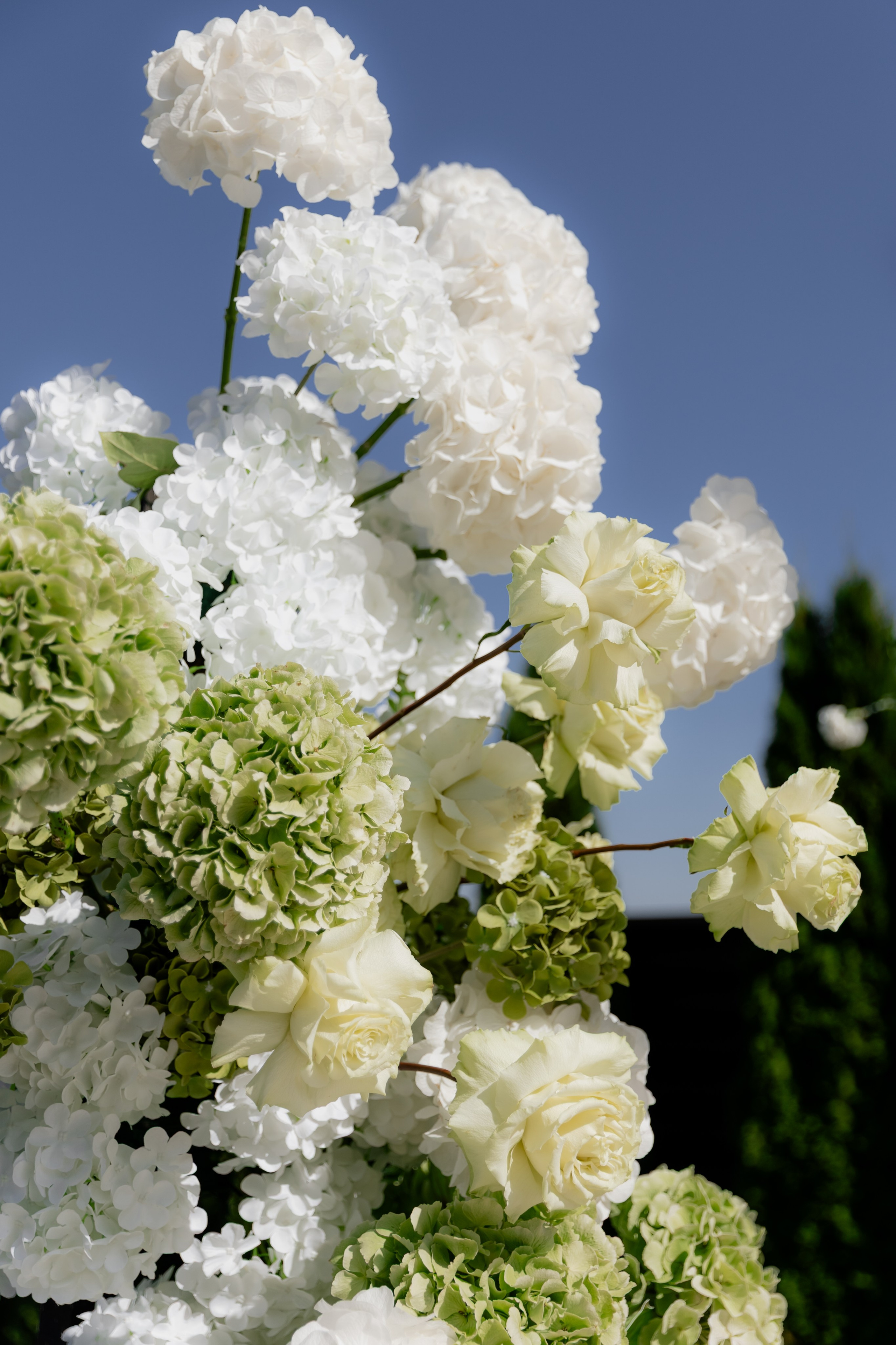 Alina & Vlad, Grand Chalet. Свадебный фотограф Кристина Винокурова