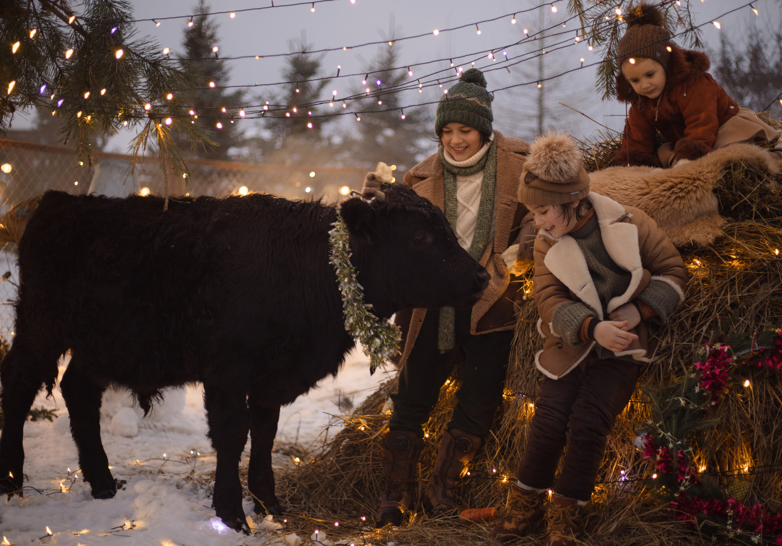 Новый год. Главная