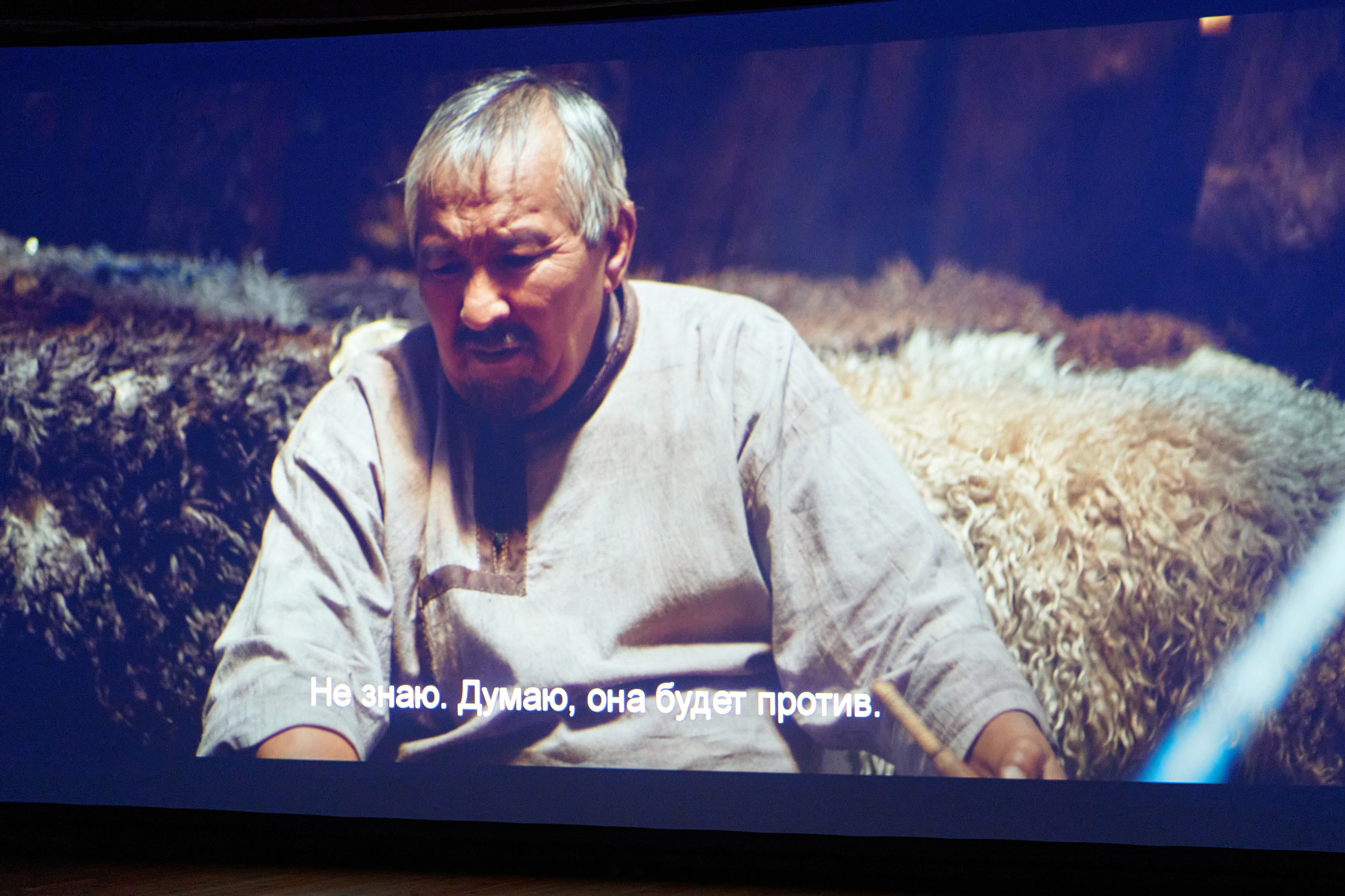 Волки — премьера. Фотограф Опыт Качество Скорость Горный Алтай Барнаул