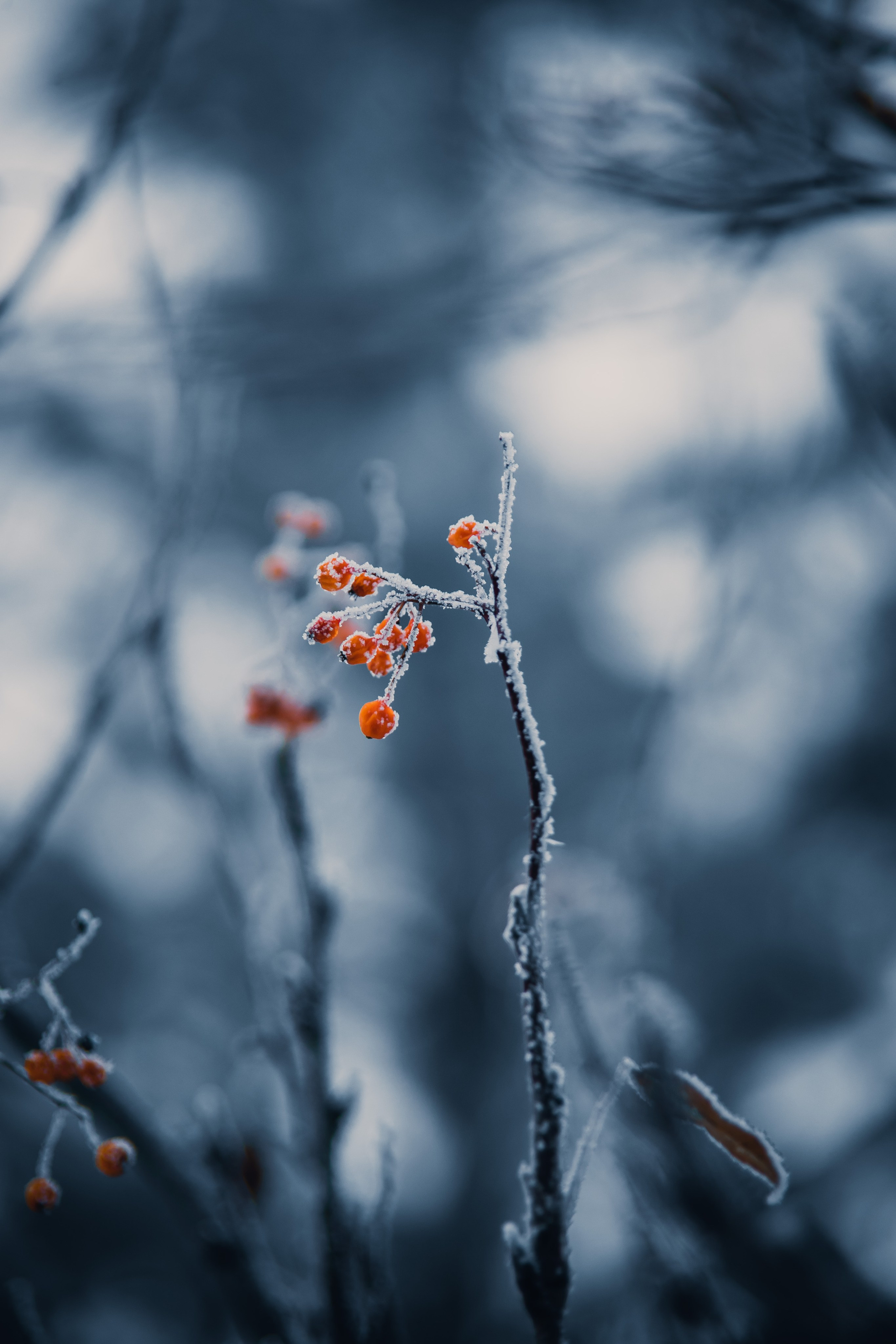 Природа. Darinishna Фэнтези-фотограф Хабаровск