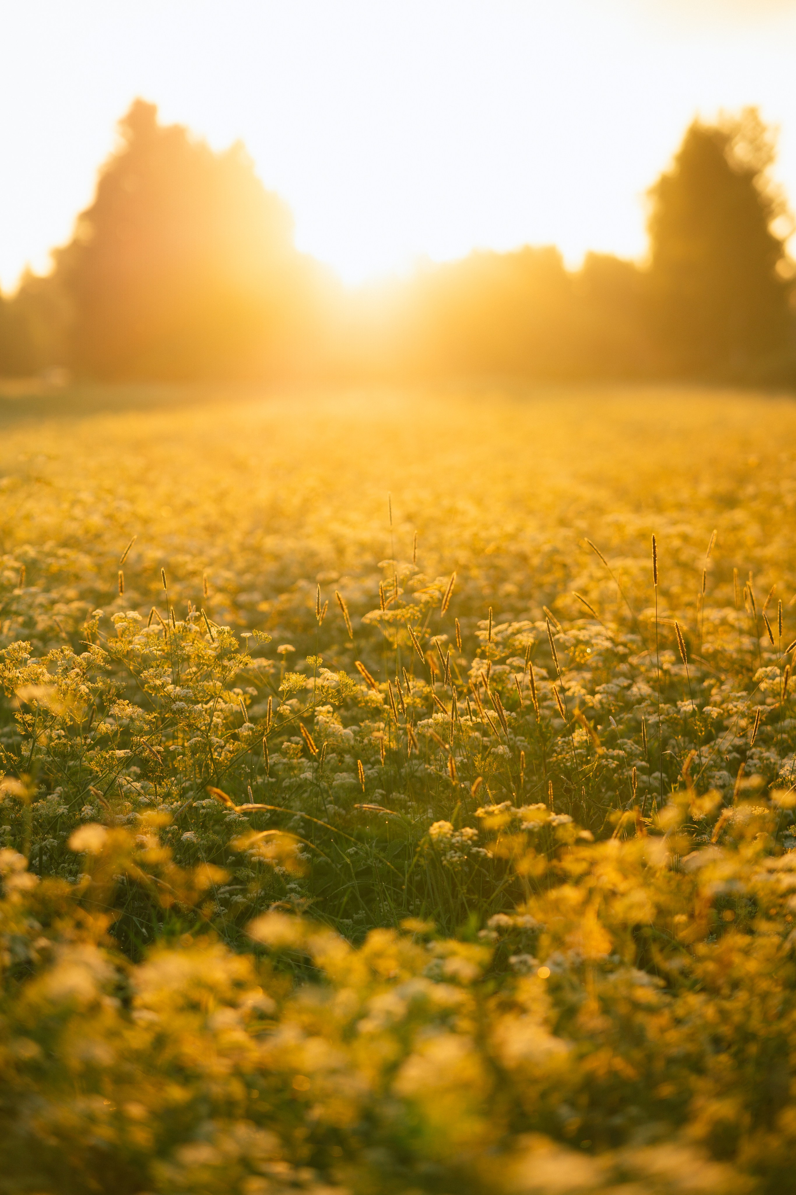 Санкт-Петербург. Фотограф Екатерина Катунова | Москва