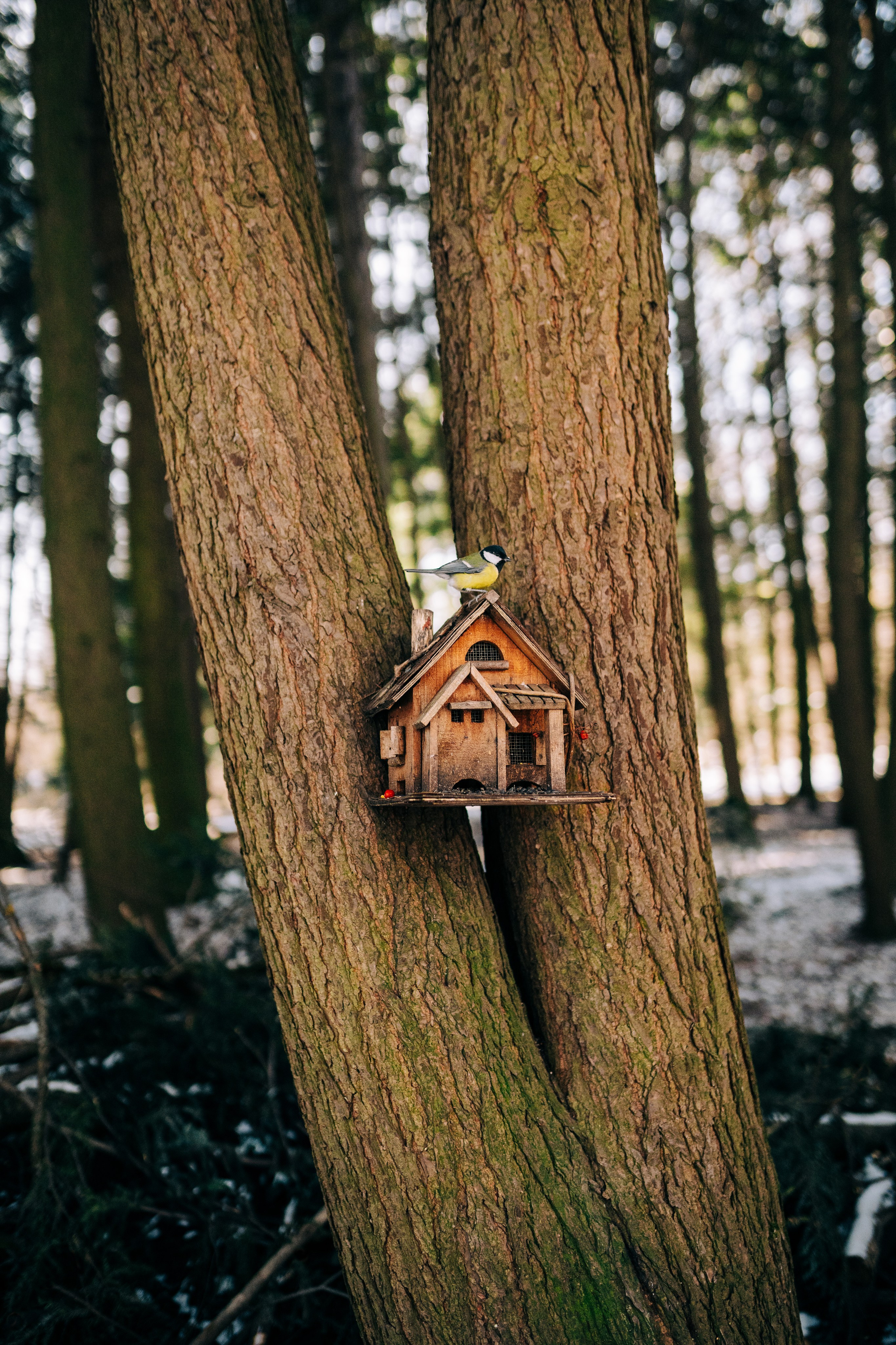 Москва. Фотограф Екатерина Катунова | Москва