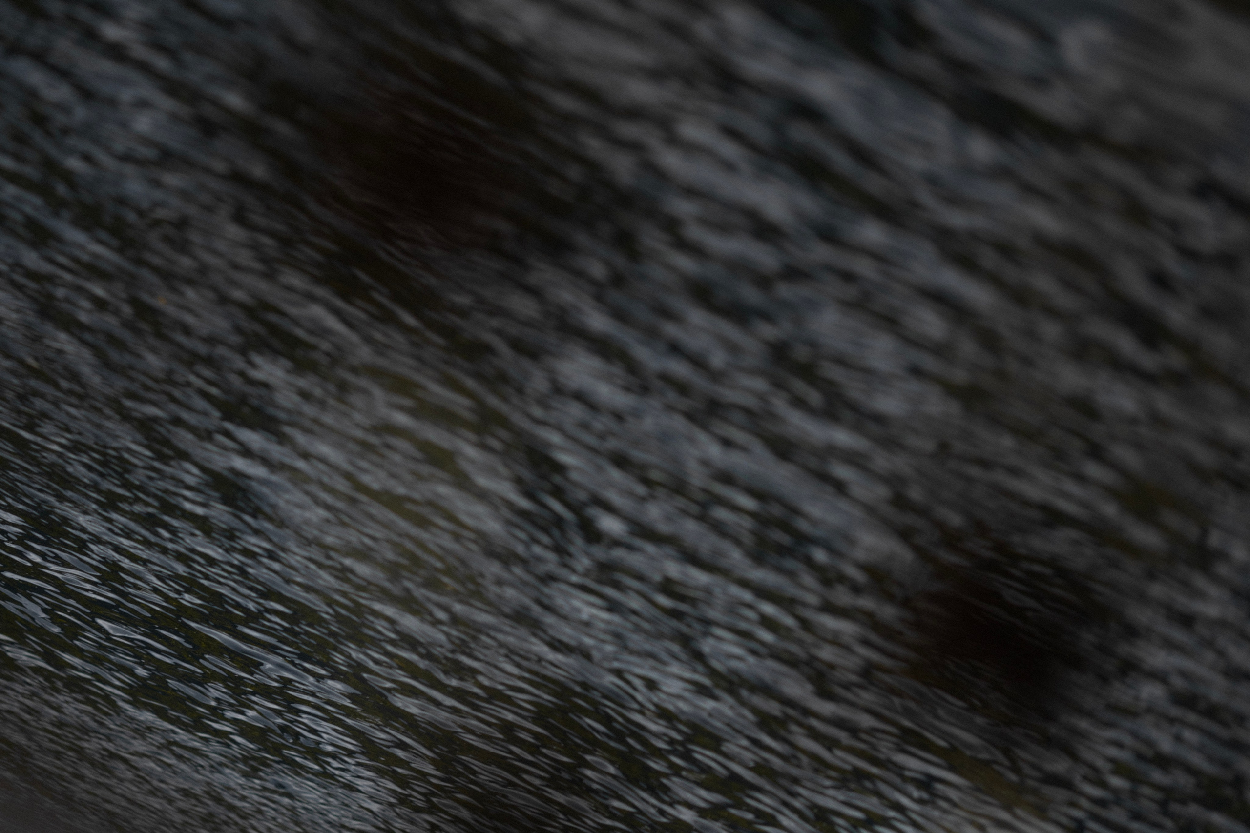 Это вам не Комо!. Свадебный фотограф Сочи Москва Дубай Снежана Магрин