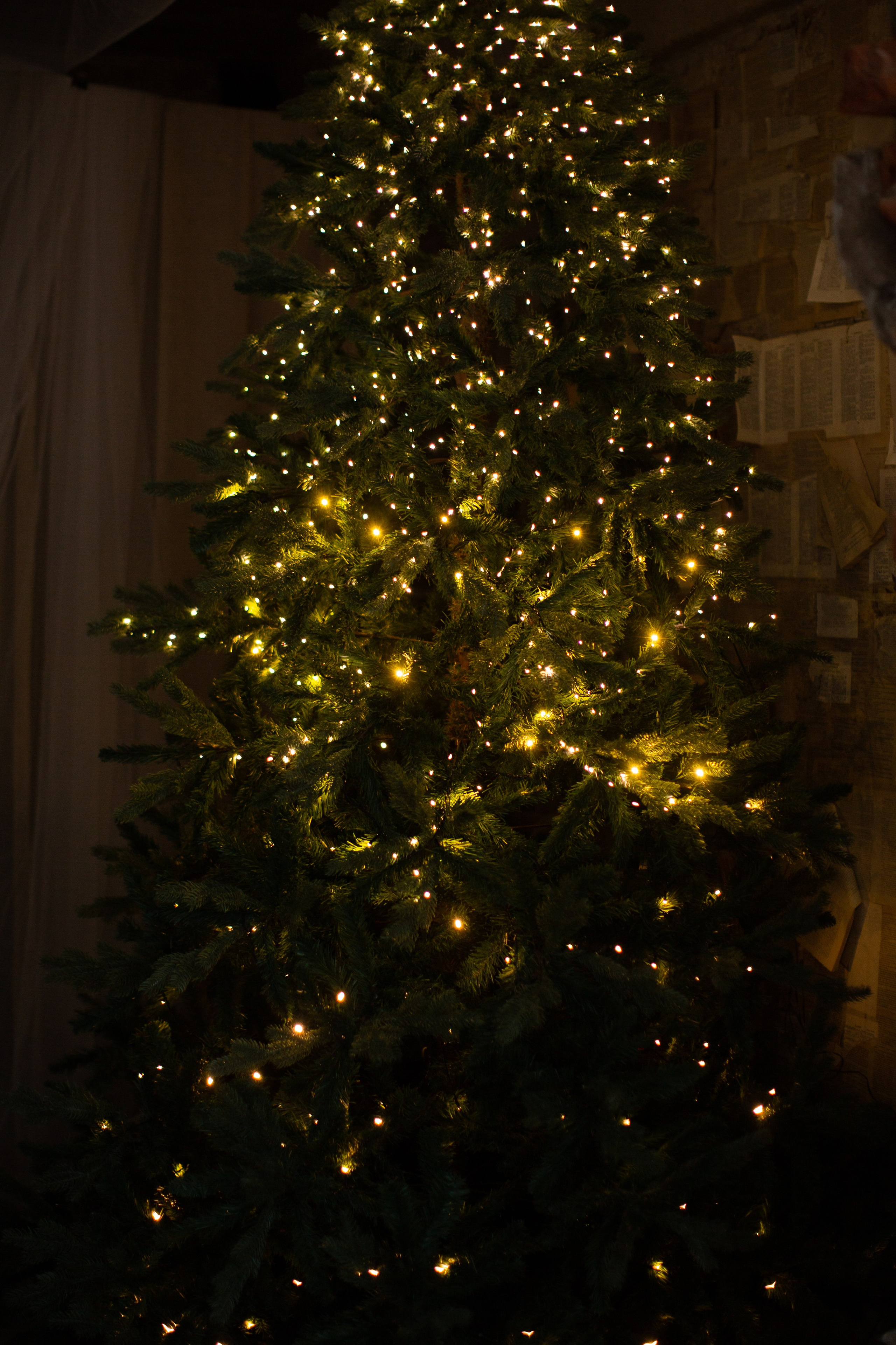 Нг24. Фотограф НатаФото (Наталья Яковенко) Дмитров Москва Питер