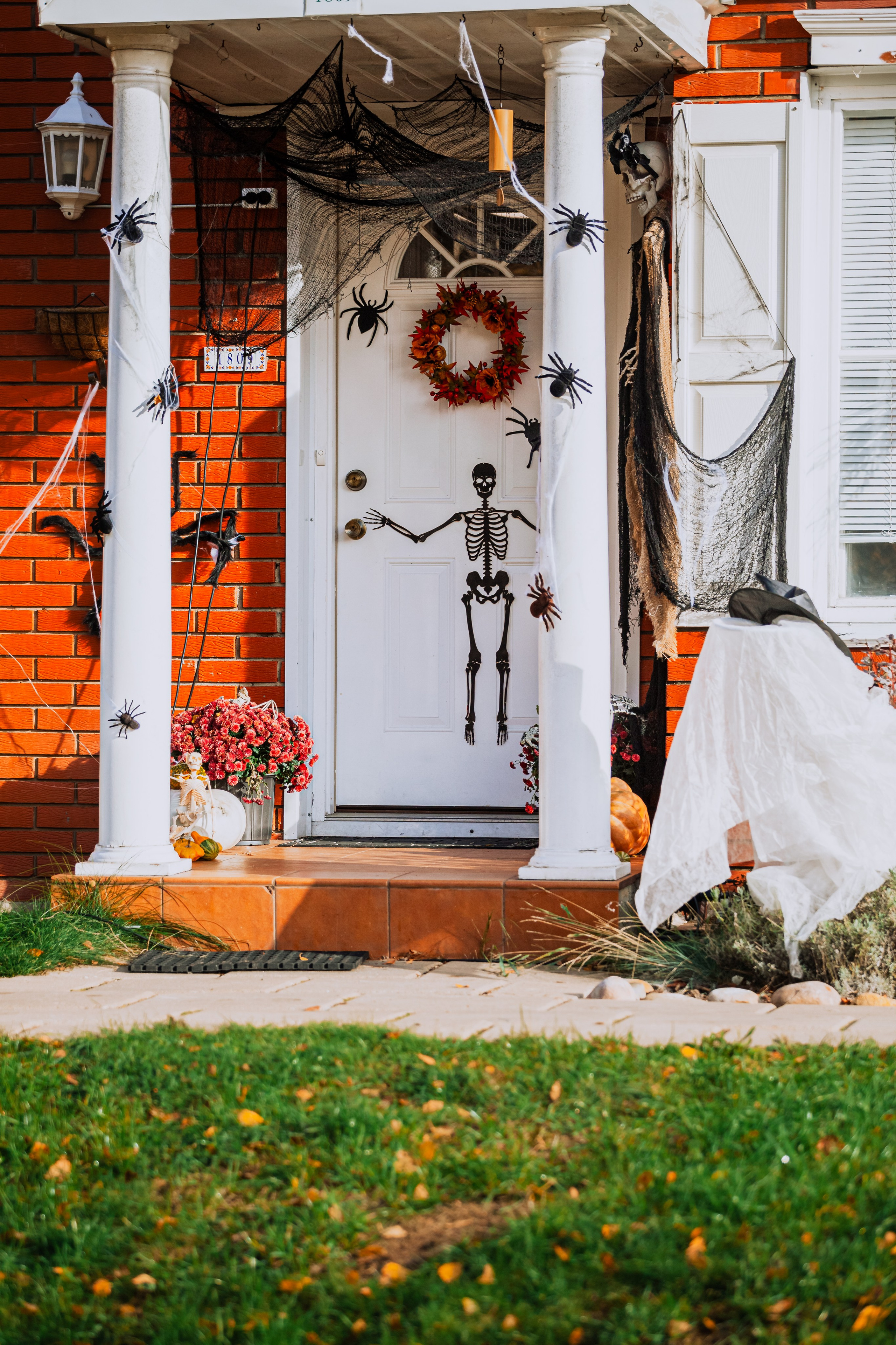 Оля, Харви, Луис. Фотограф-анималист Татьяна Степанова
