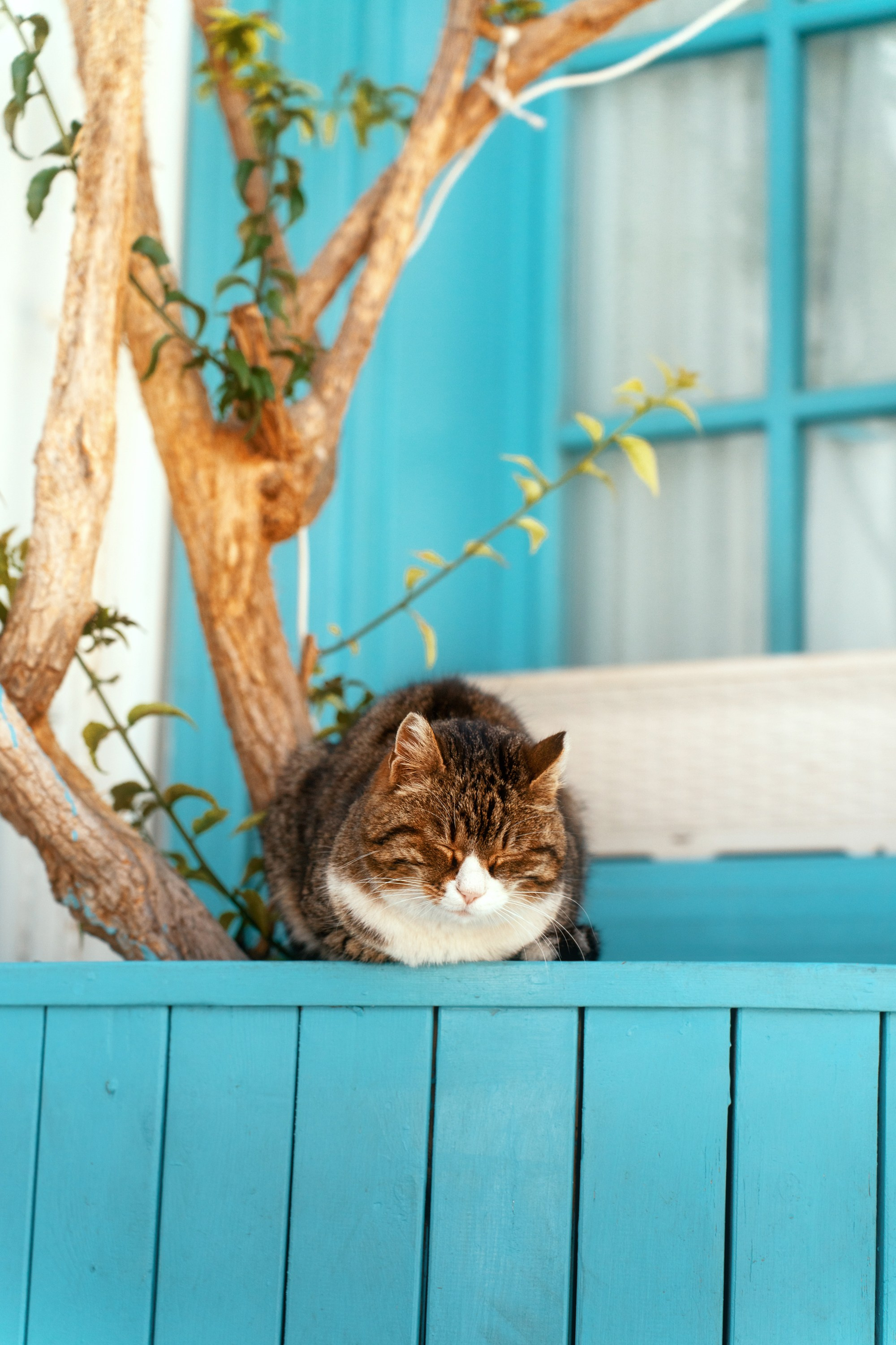 Турция, Греция, Иордания. Фотограф в Хабаровске. Фотография за 24 часа