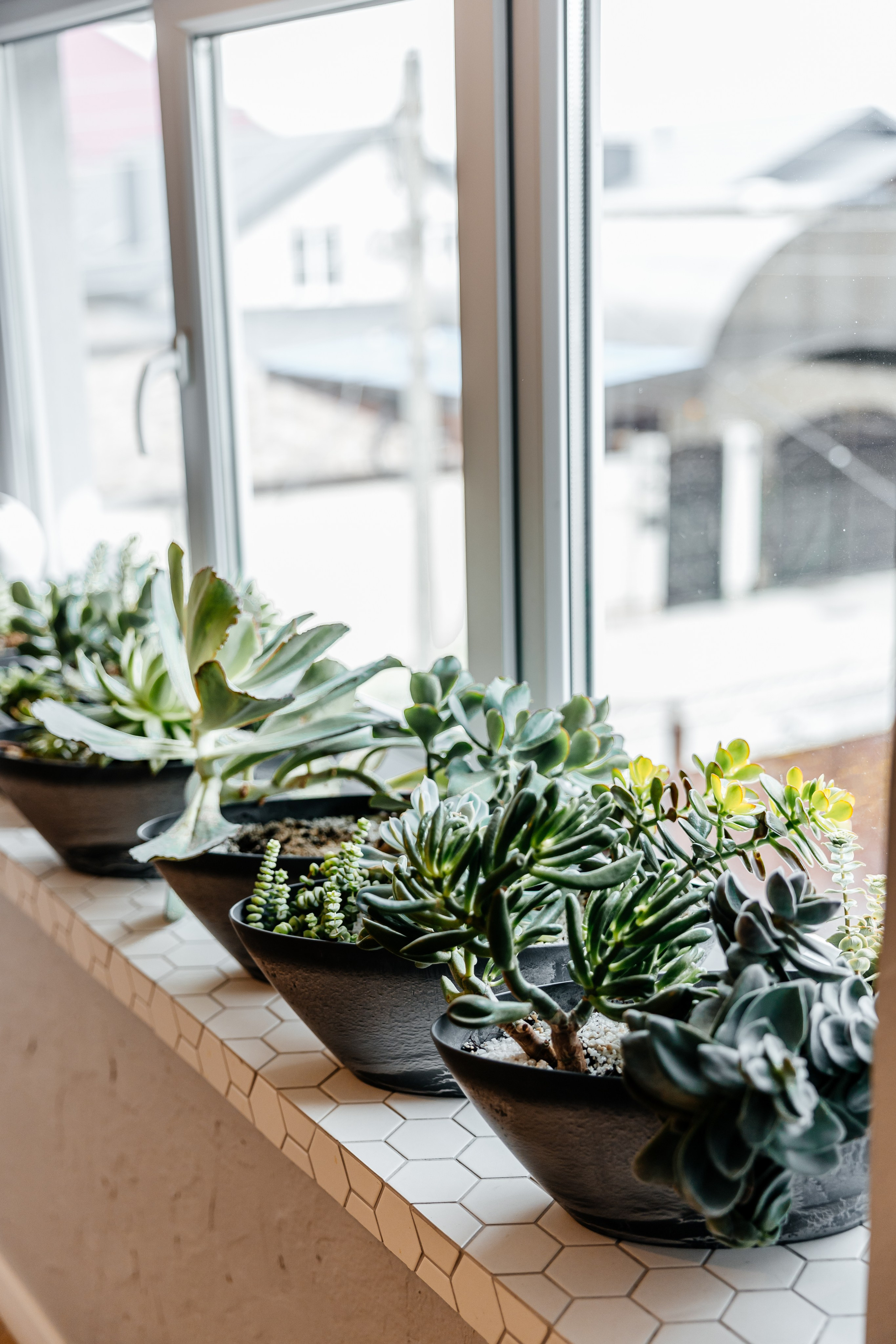 Freedom House. Самый свадебный фотограф