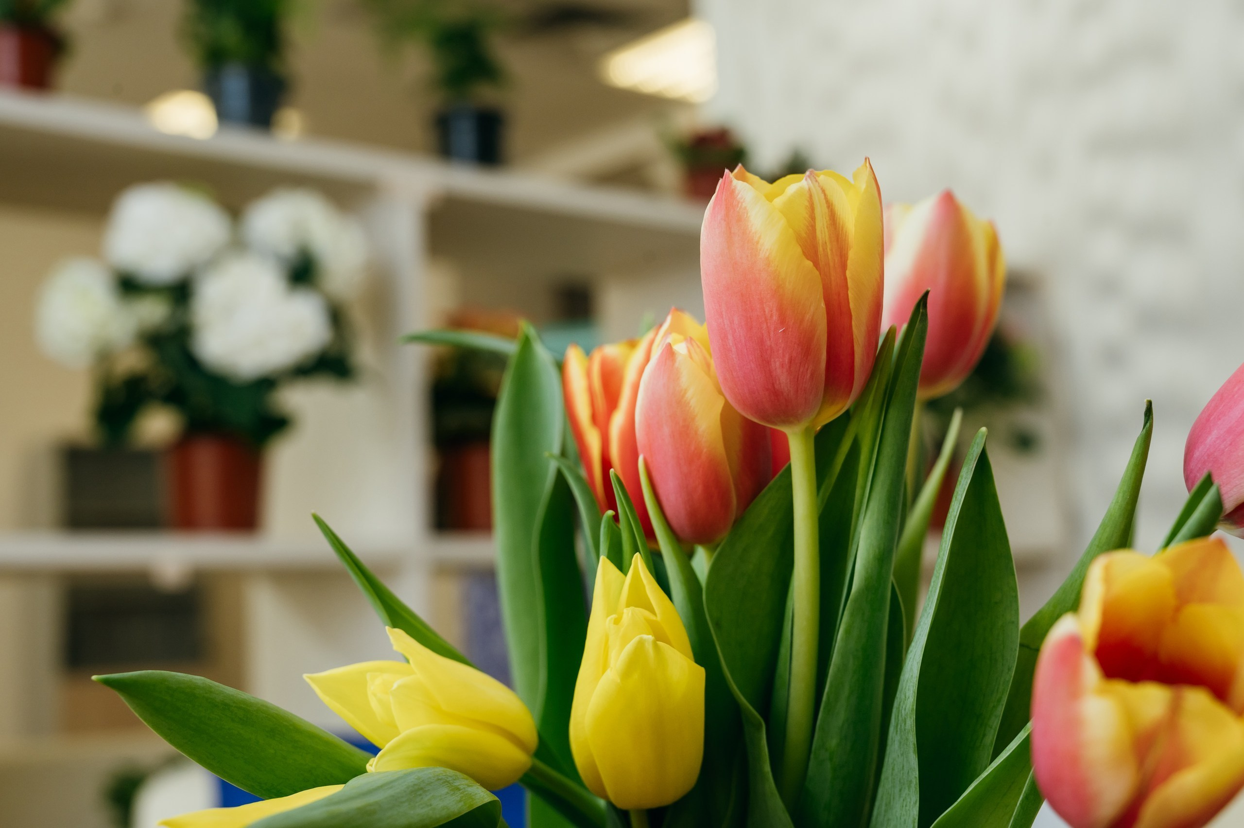 Отзывы. Фотограф Сергей Бабин