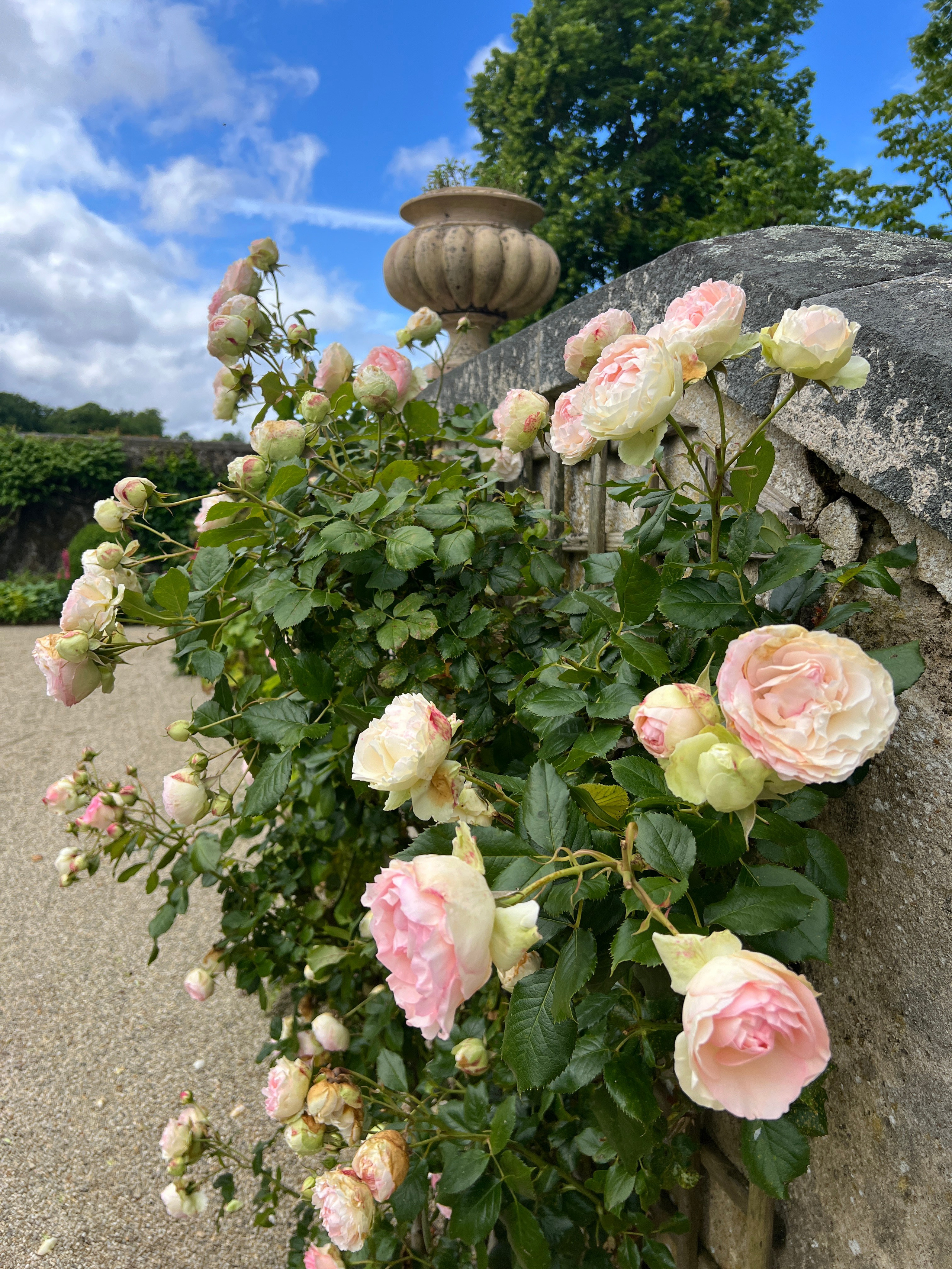 Wedding Content Creator 2026. Valeria Coconova Photographer Italy Como Milan