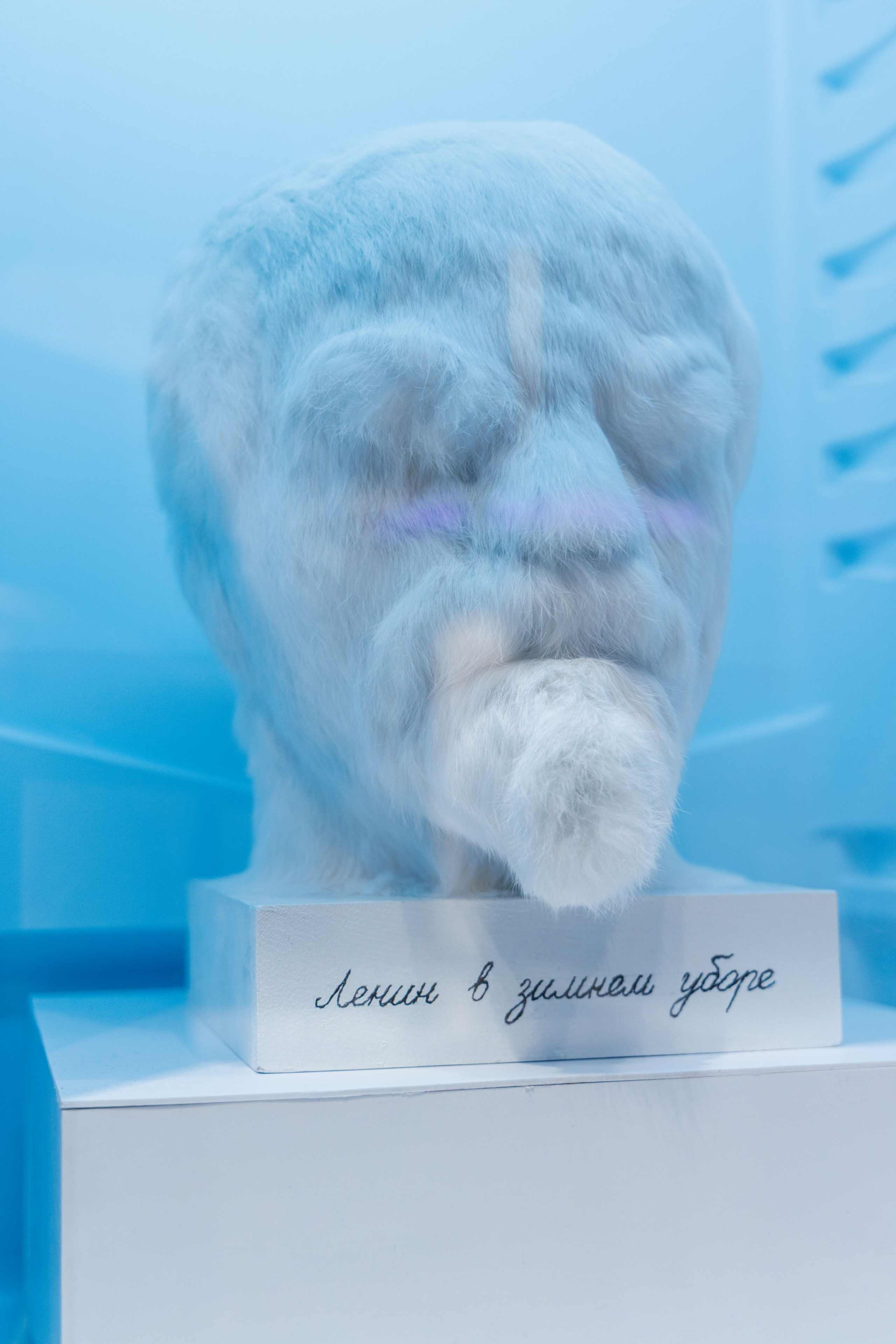 Лед. Жизнь — познавательно-развлекательная выставка. Фотограф Балаев Михаил