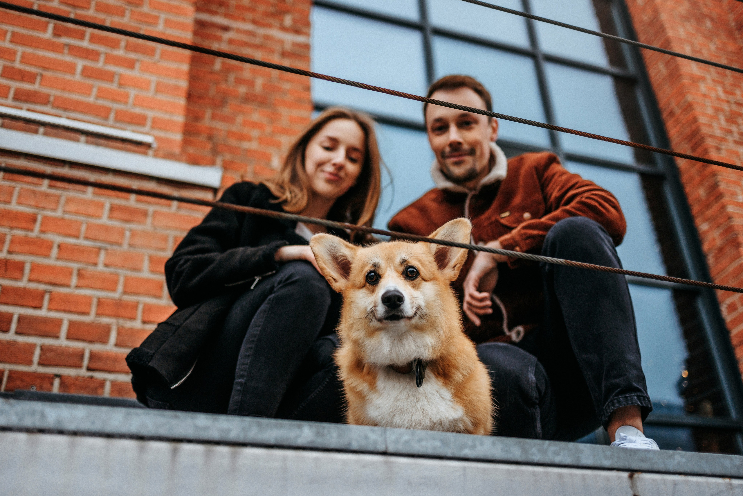 Вера, Саша и Муна. Фотограф-анималист Елена Радченко, Москва