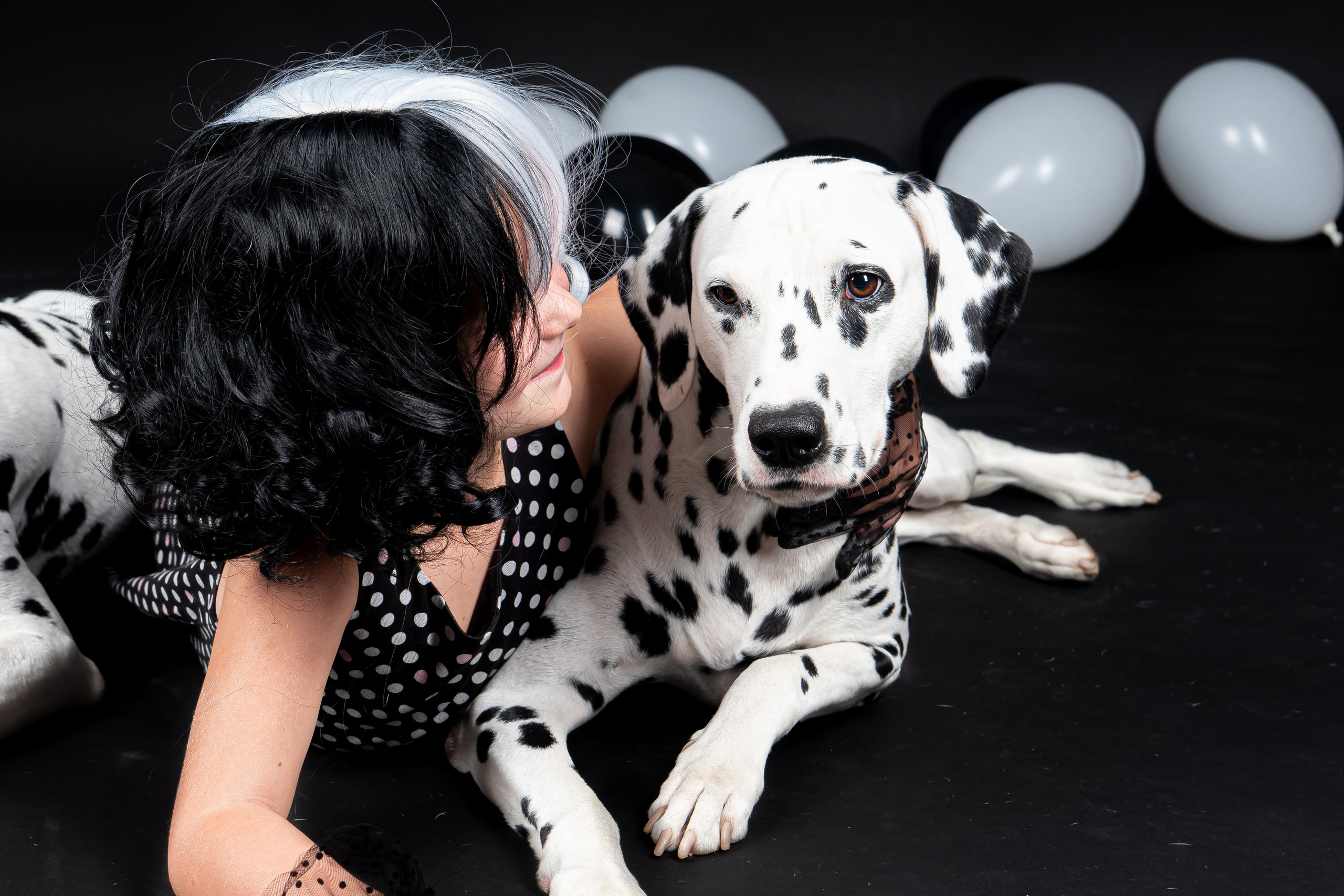 Далматины 2024. Фотограф на Камчатке Анна Моргачёва. Семейные и детские съёмки