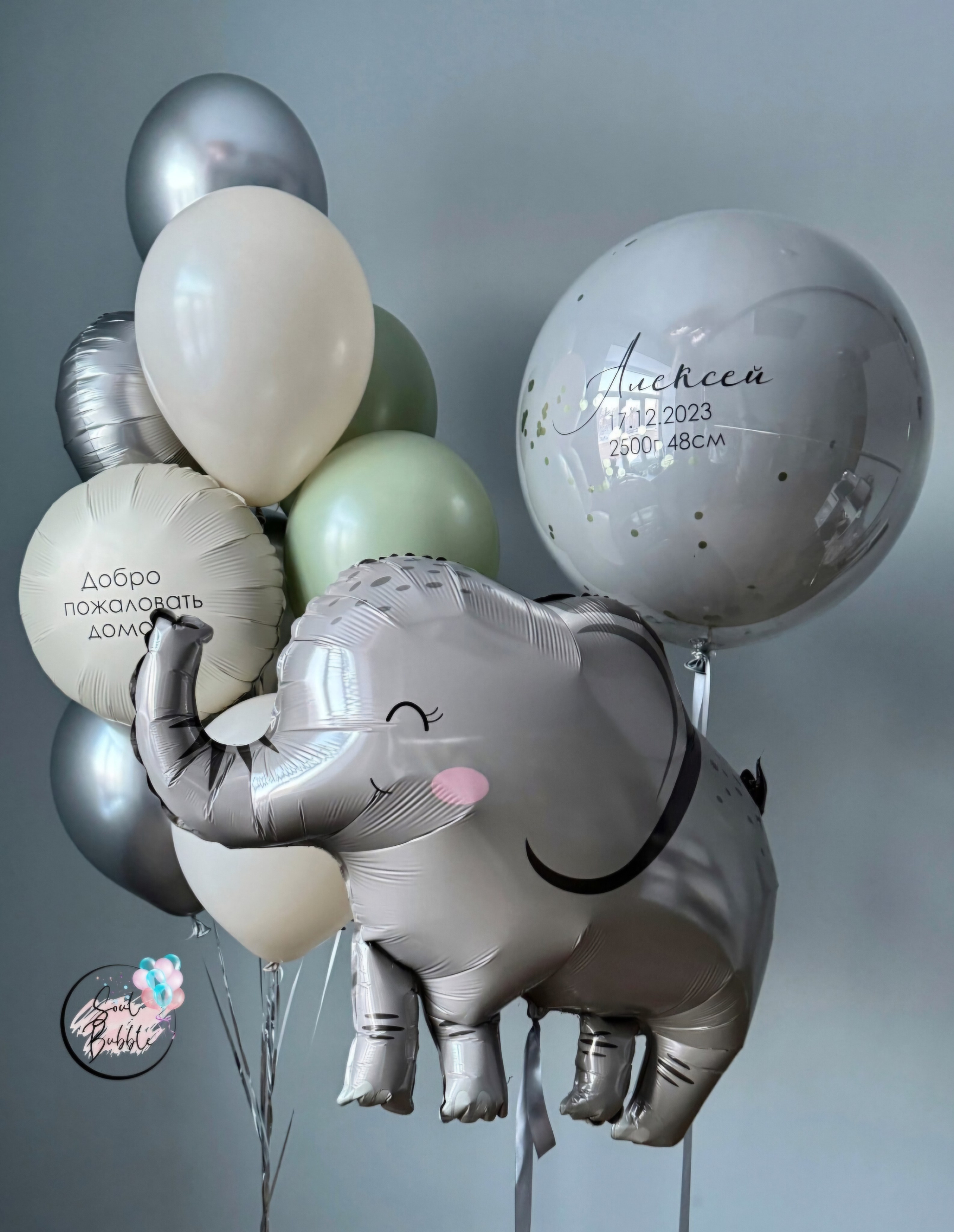 Фотограф в роддоме Сестрорецком г. Санкт-Петербург Банасиковская Ксения