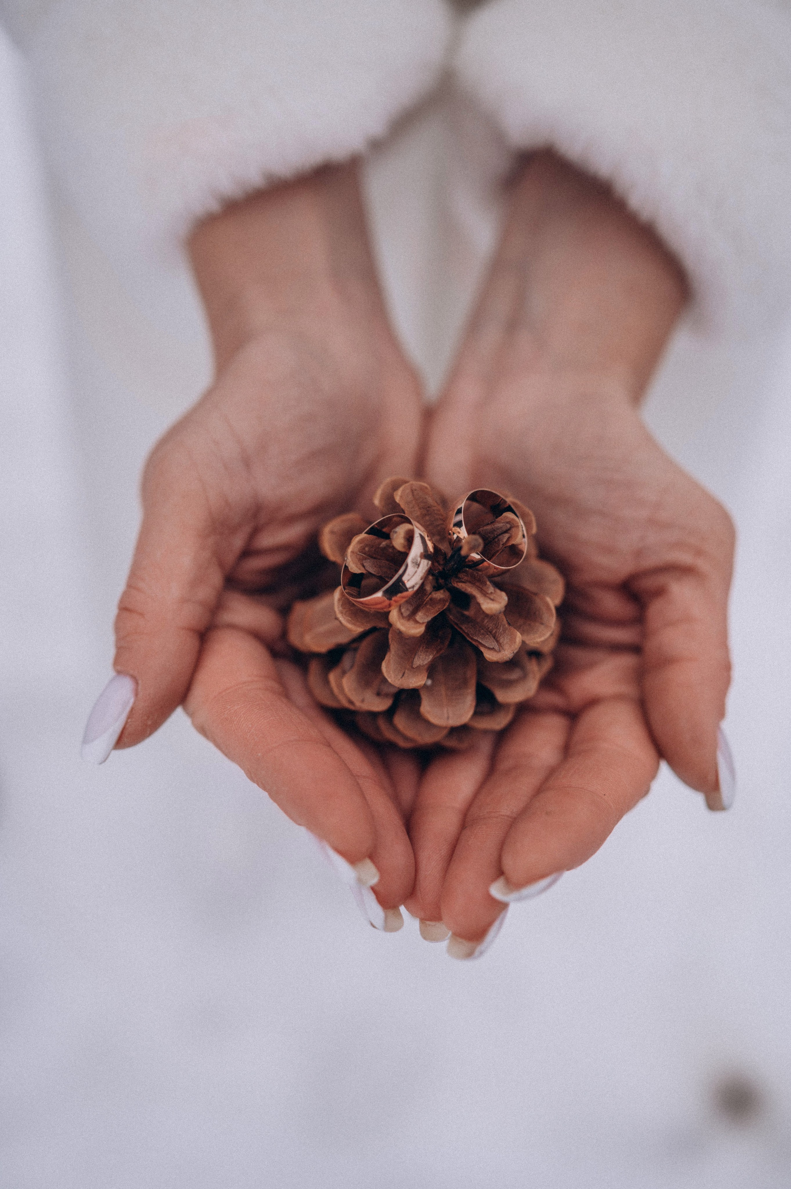 Свадьбы. Donskaya-photo