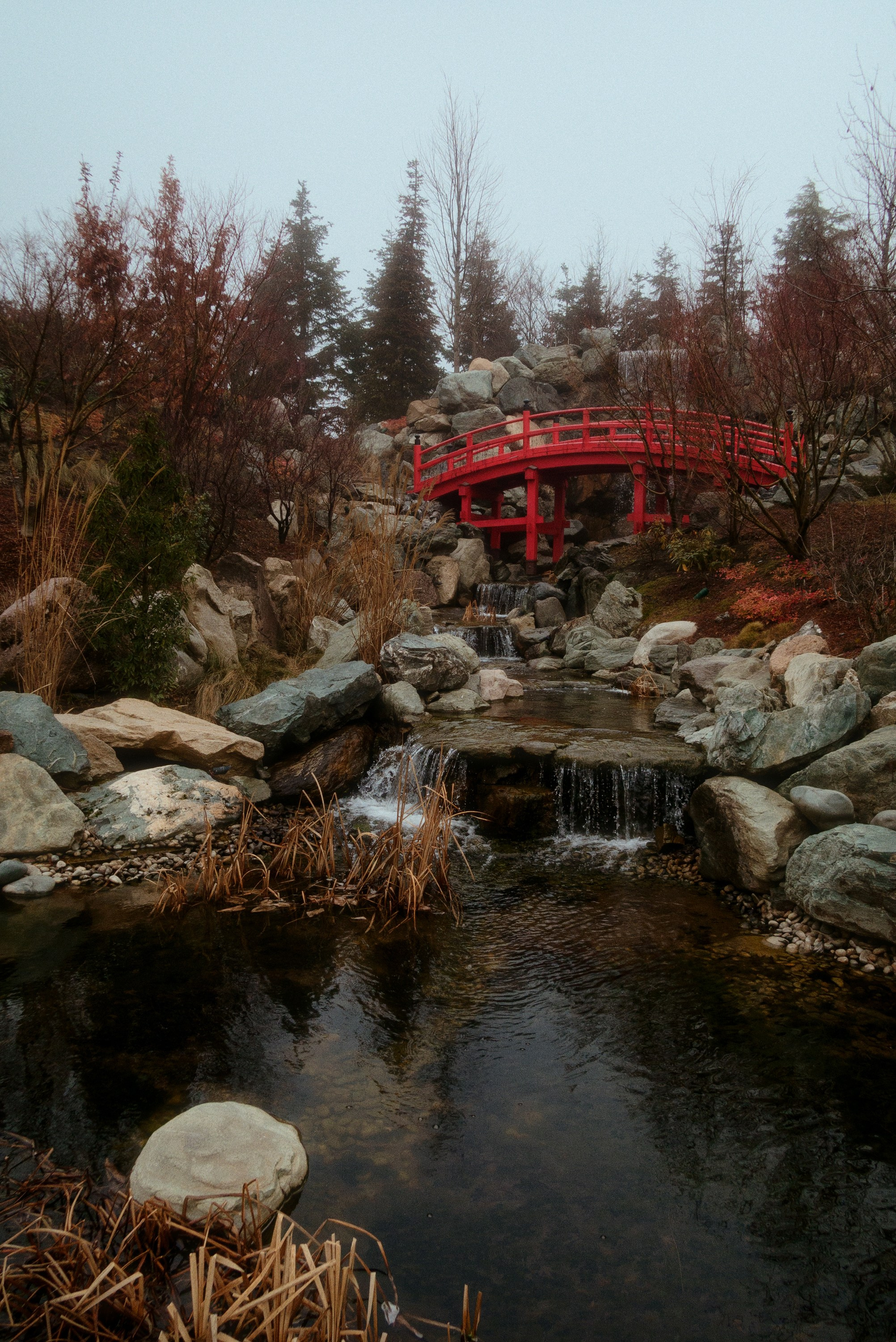 OM-System Tough-7 / Park Krasnodar (japan). Фотограф Юрин Евгений