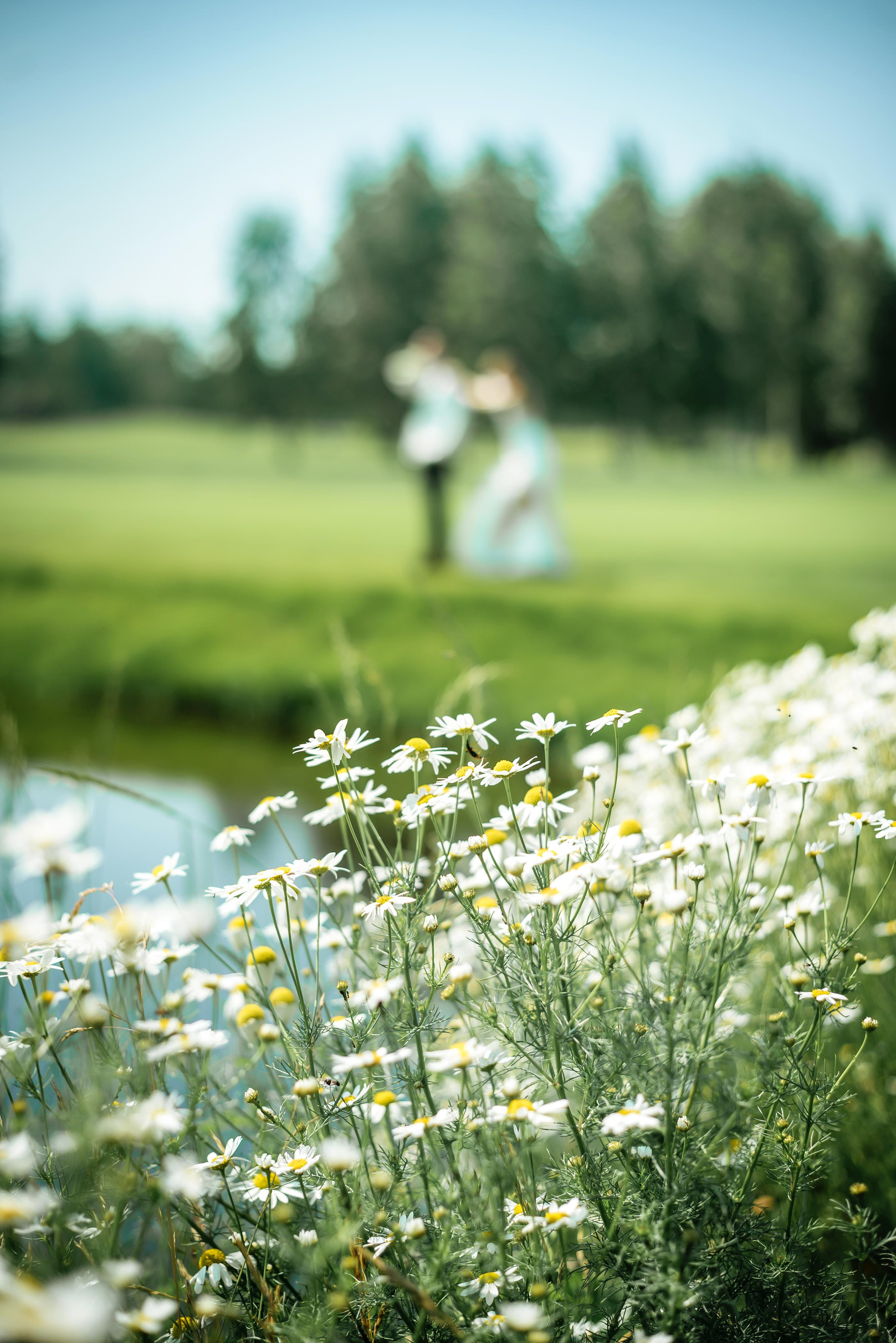 Сергей и Регина. Фотостудия Миндаль. Южноуральск