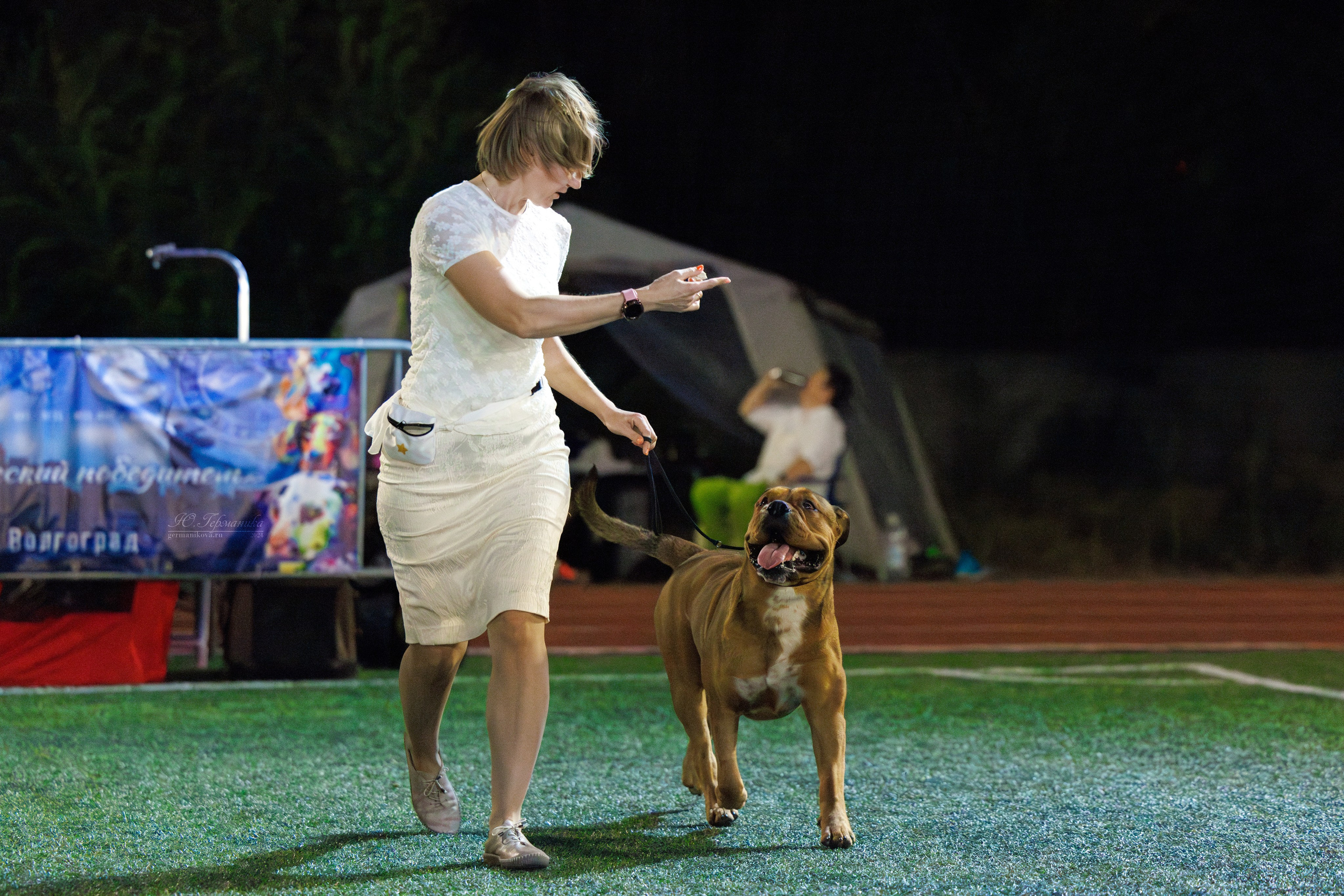 Волгоград 2-4.08.2024. Фотограф-анималист Юлия Германика