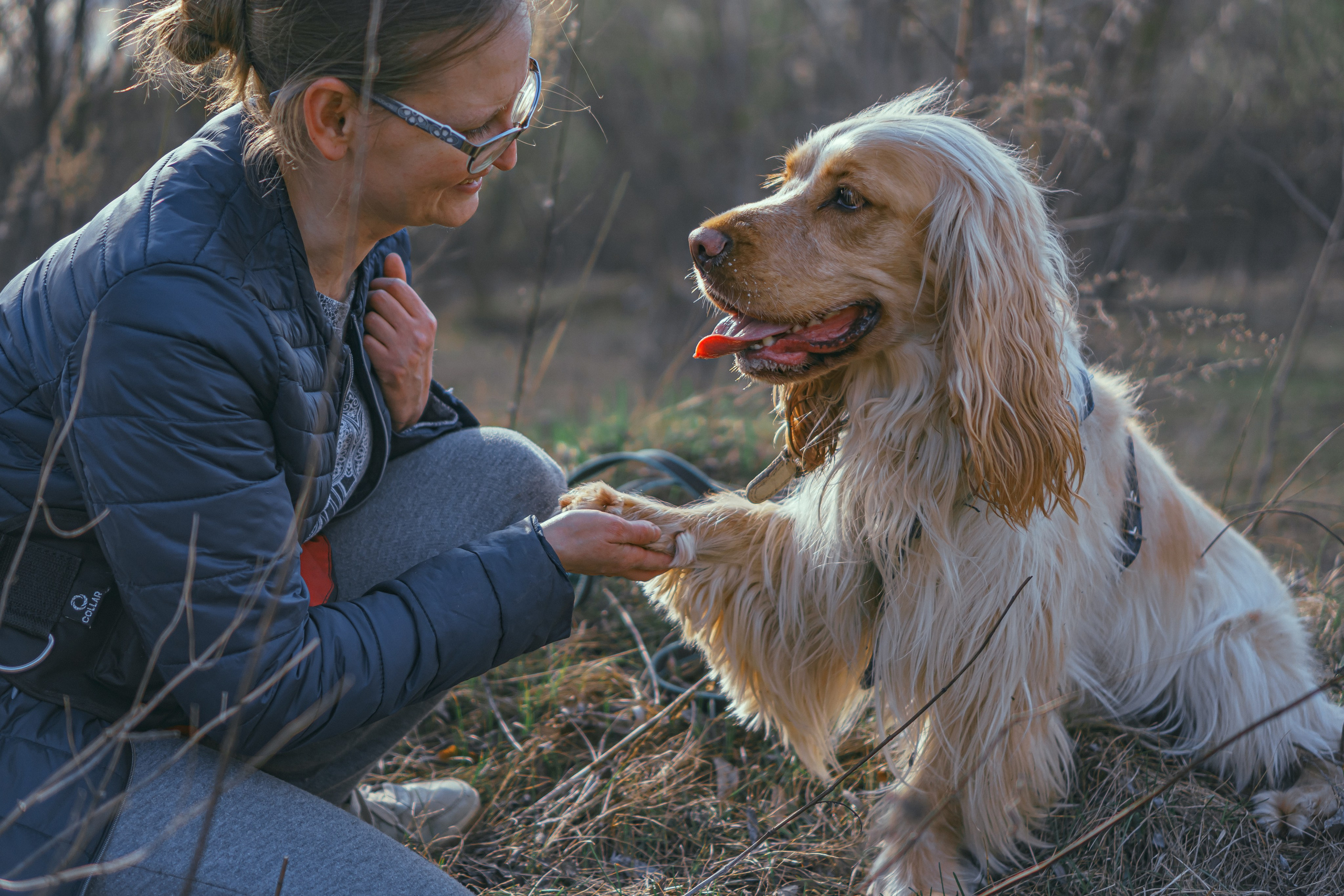 Лютик. Фотограф в Кстово и Нижнем Новгороде KOLOSOK
