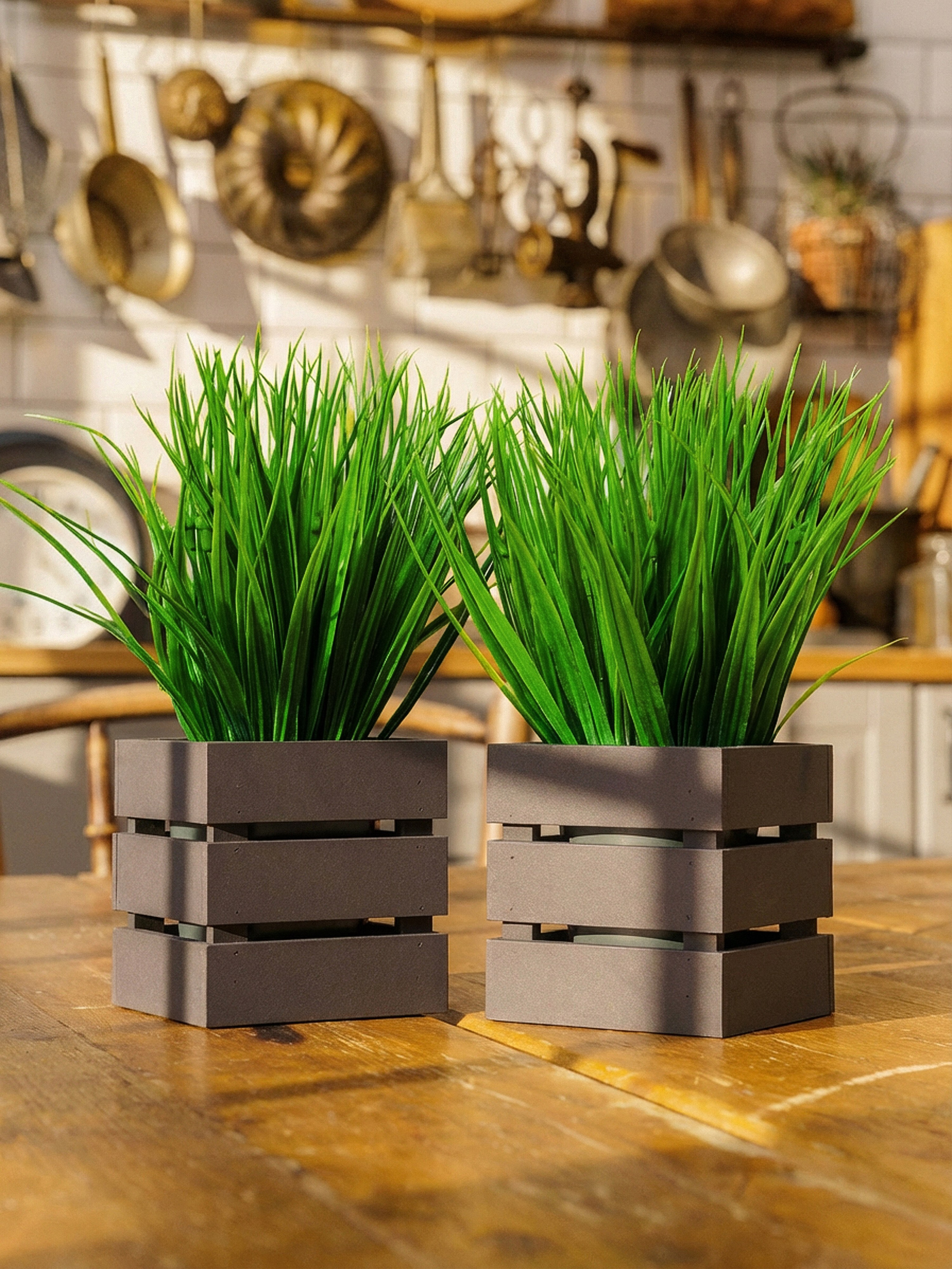 Кашпо. Макаров Сергей|Creamlebot Фотограф города Ростов-на-Дону