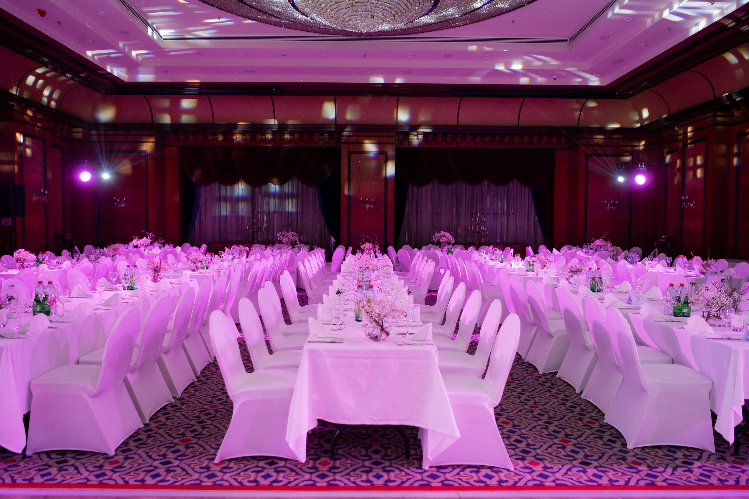 Beaujolais nouveau 2023. Фотограф Астана, Алматы